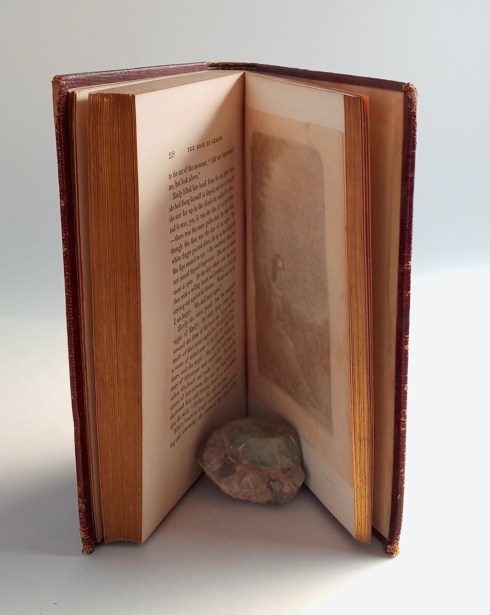 The Rose of Sharon: A Religious Souvenier for MDCCCLIII book cover