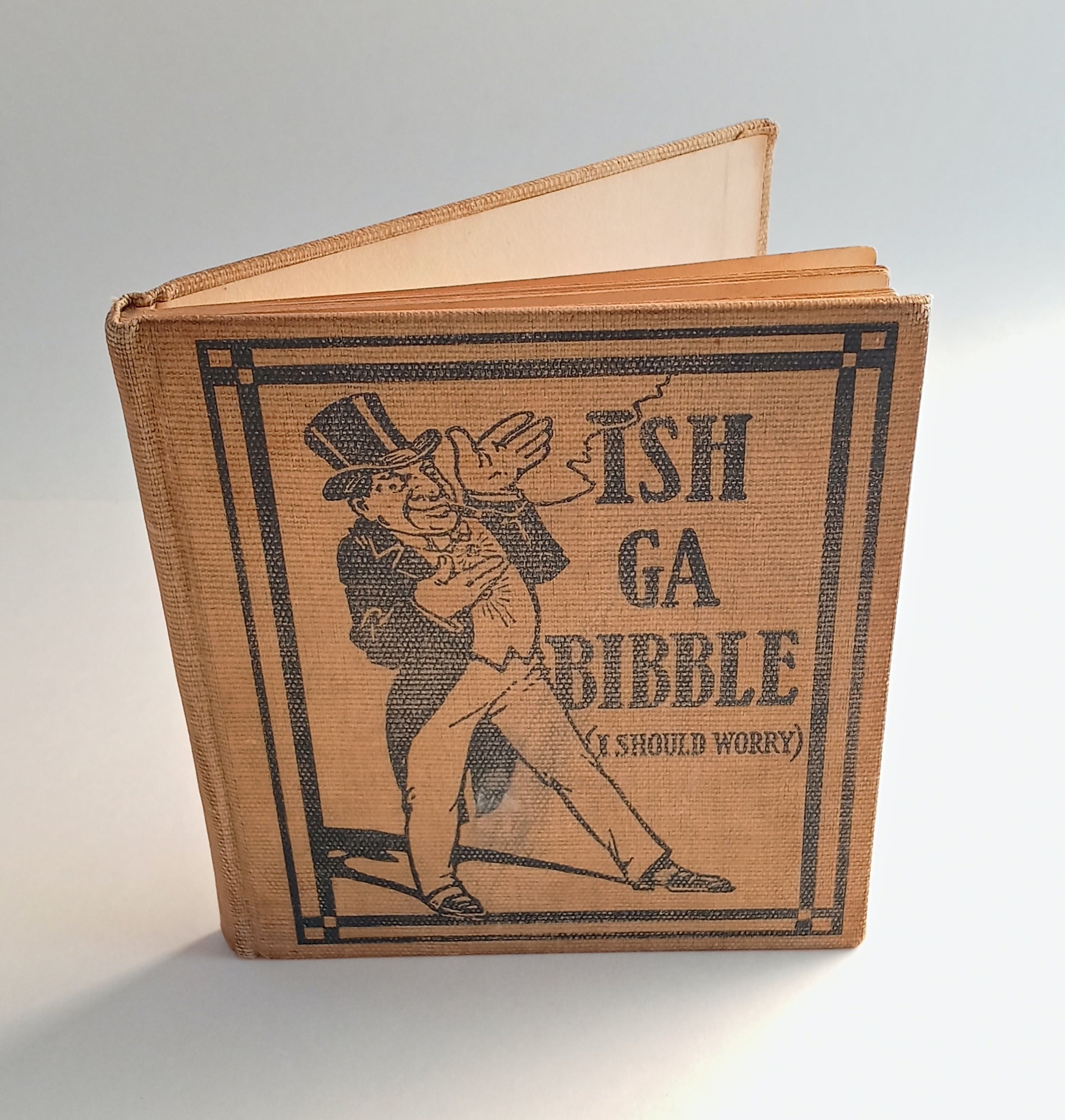 Ish ga Bibble (I Should Worry) book cover
