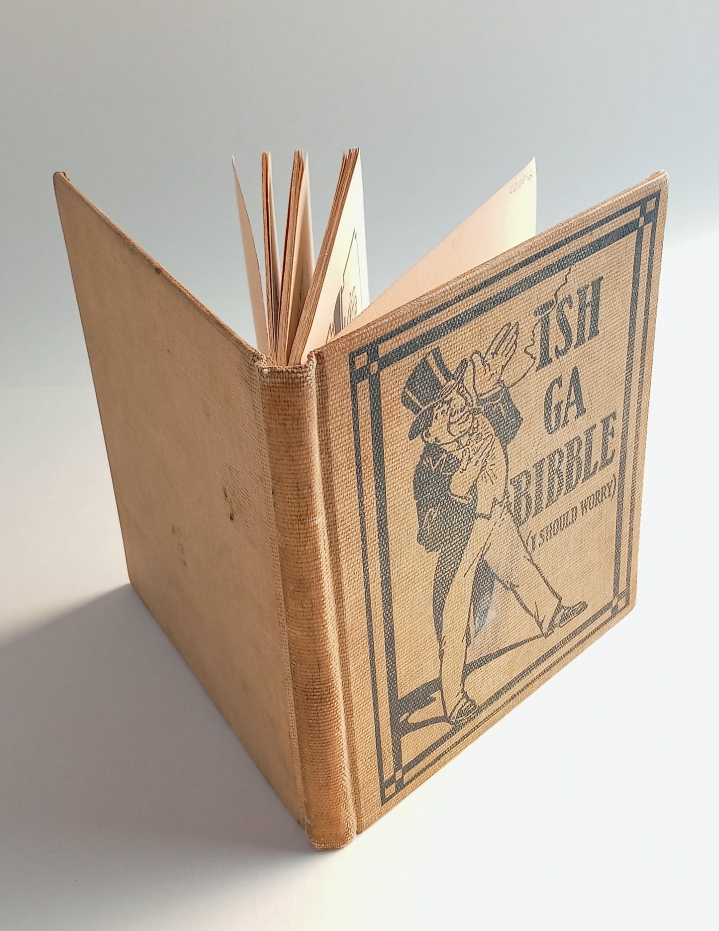 Ish ga Bibble (I Should Worry) book cover