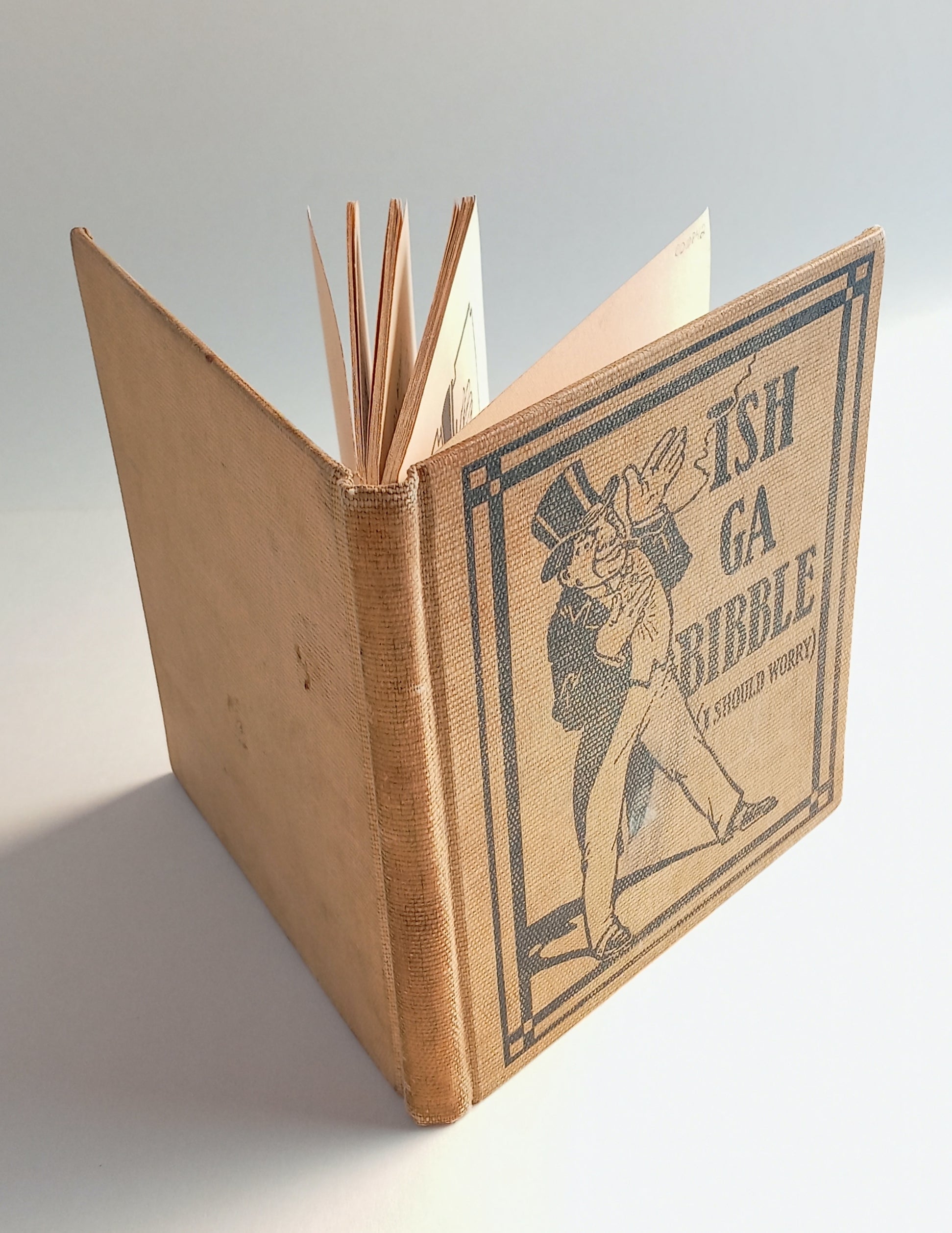 Ish ga Bibble (I Should Worry) book cover