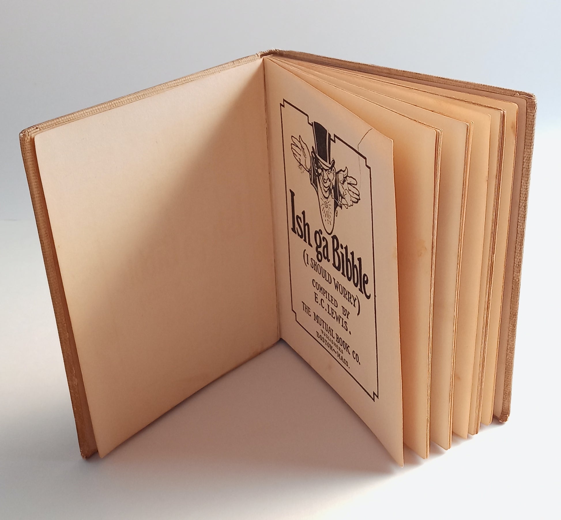 Ish ga Bibble (I Should Worry) book cover