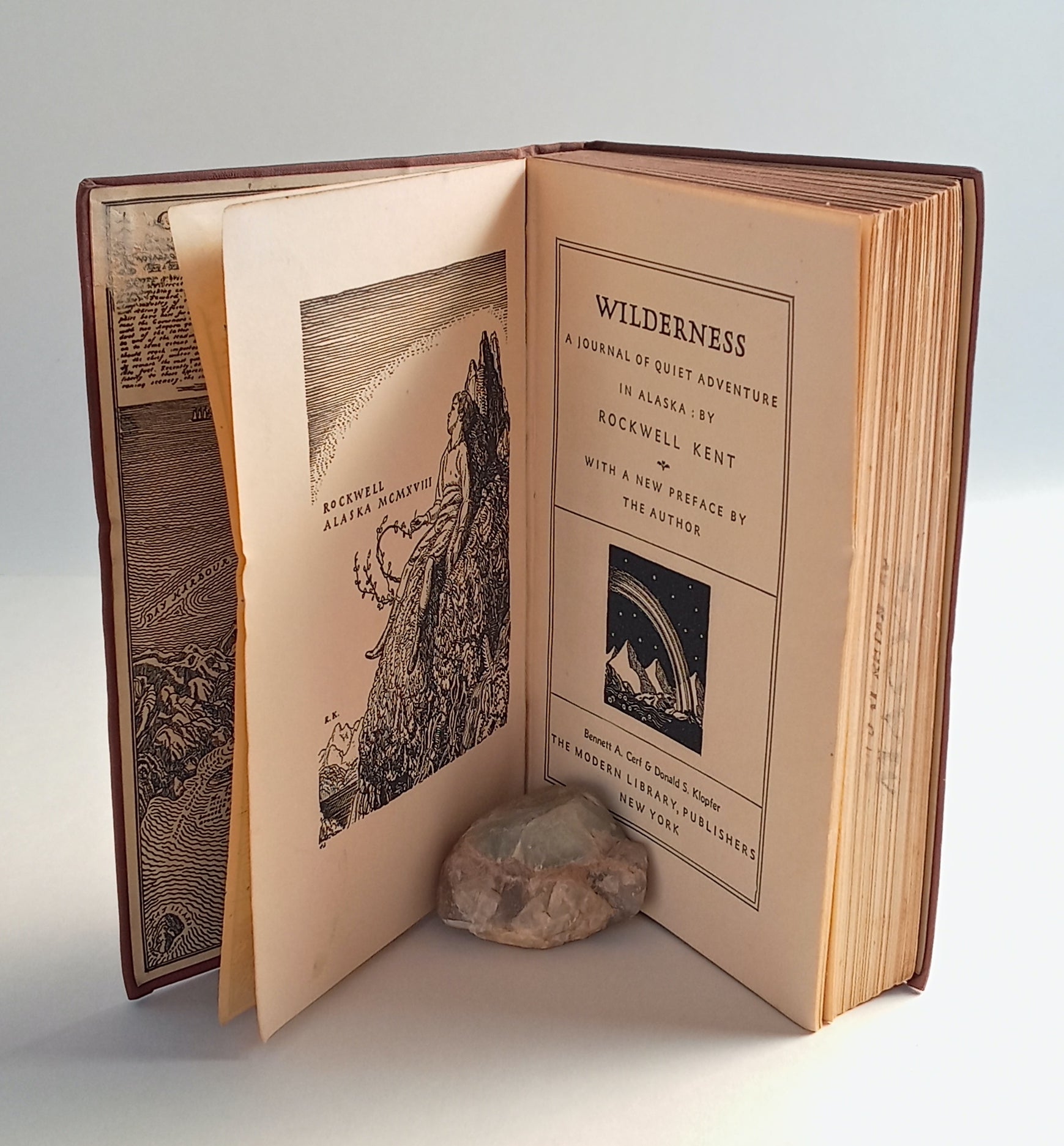 Wilderness: A Journal of Quiet Adventure in Alaska book cover