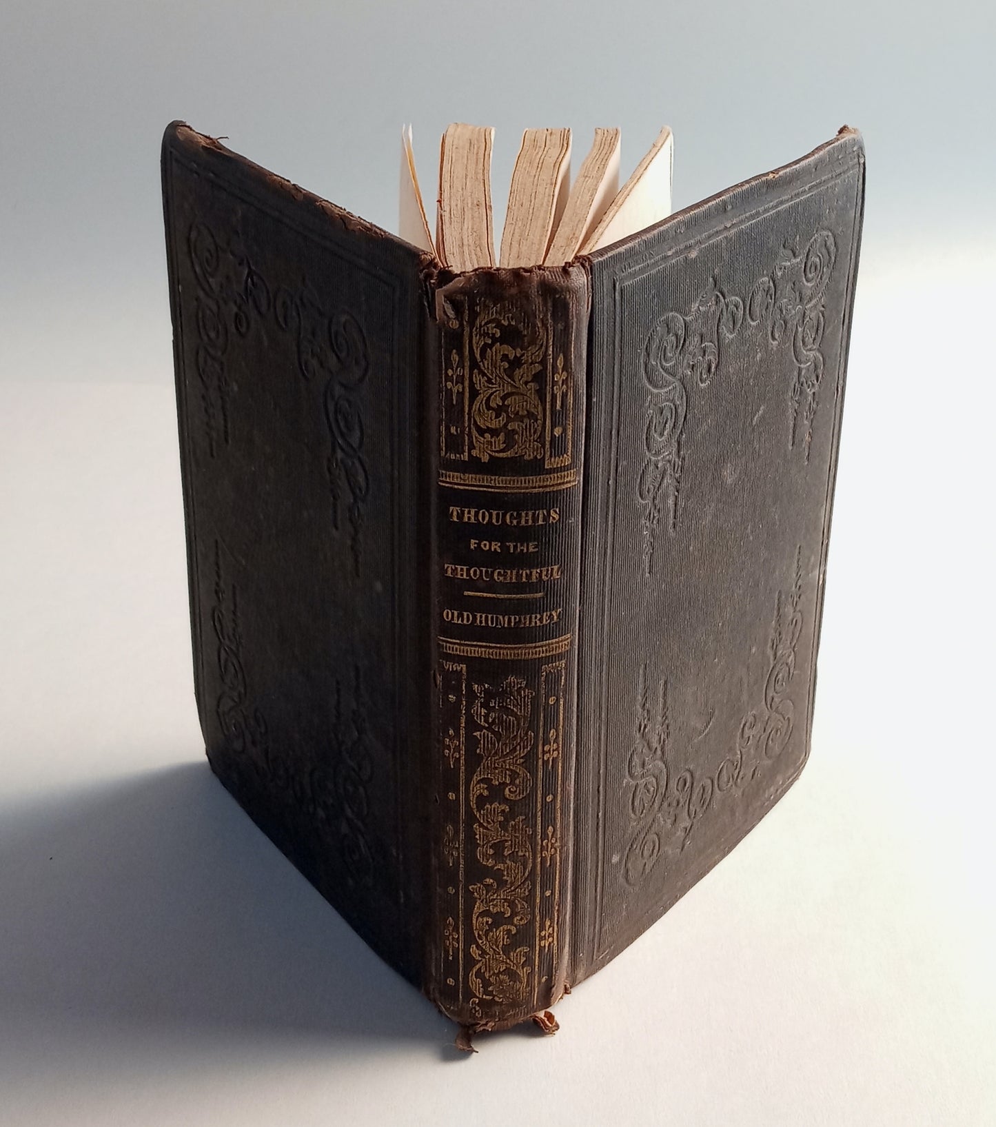 Thoughts for the Thoughtful. book cover