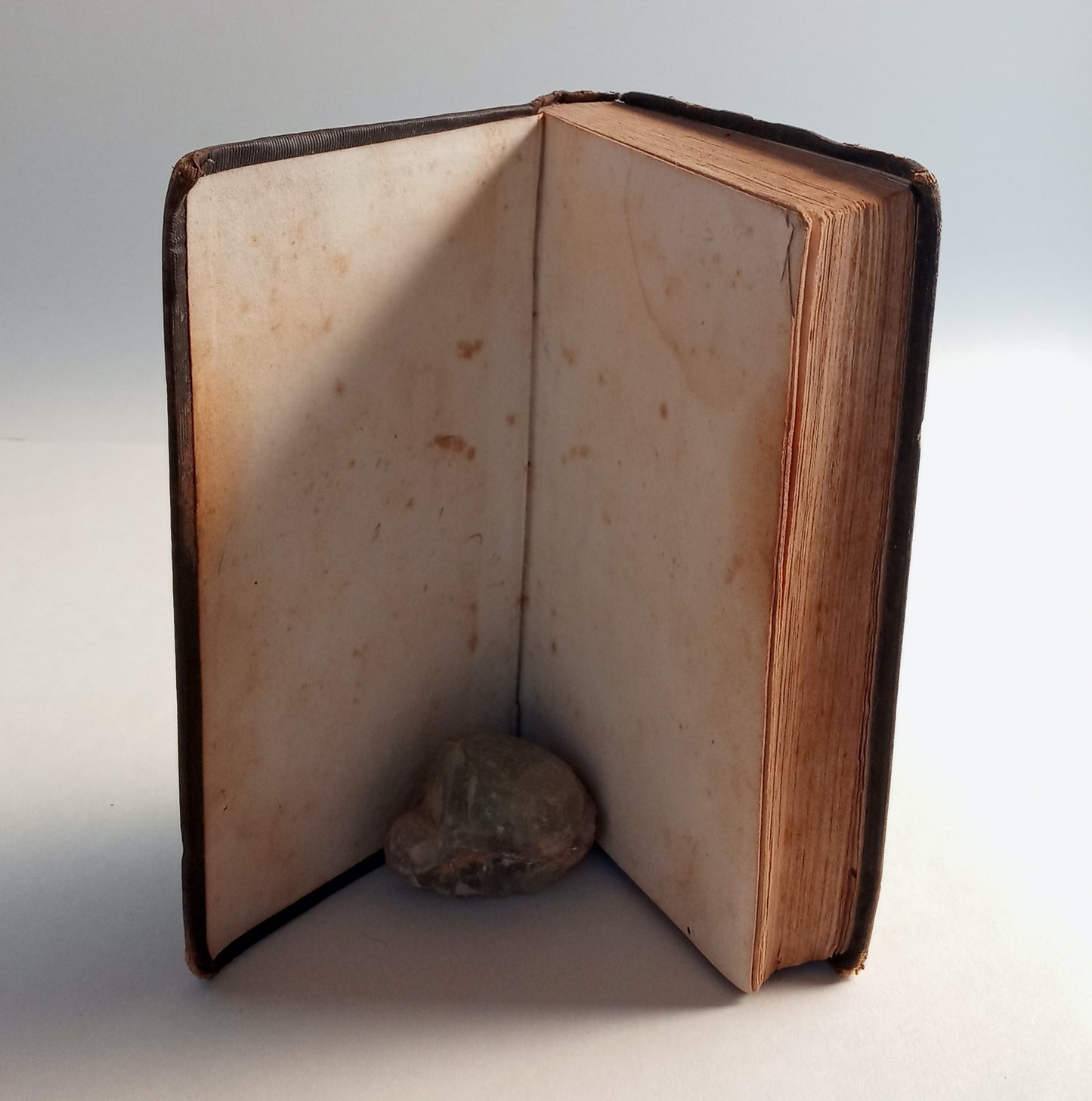 Thoughts for the Thoughtful. book cover