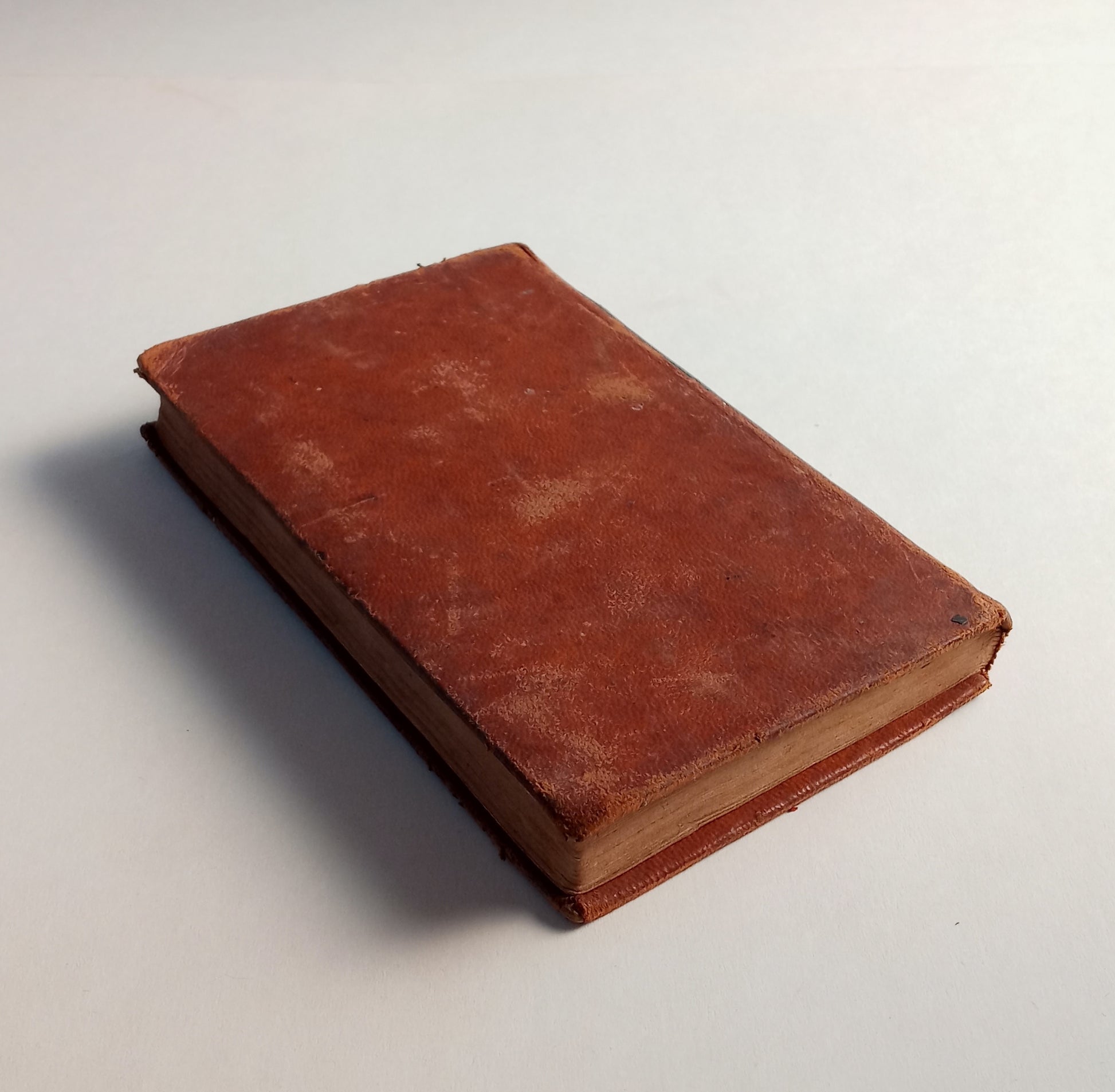 Early Friendships: A Tale book cover