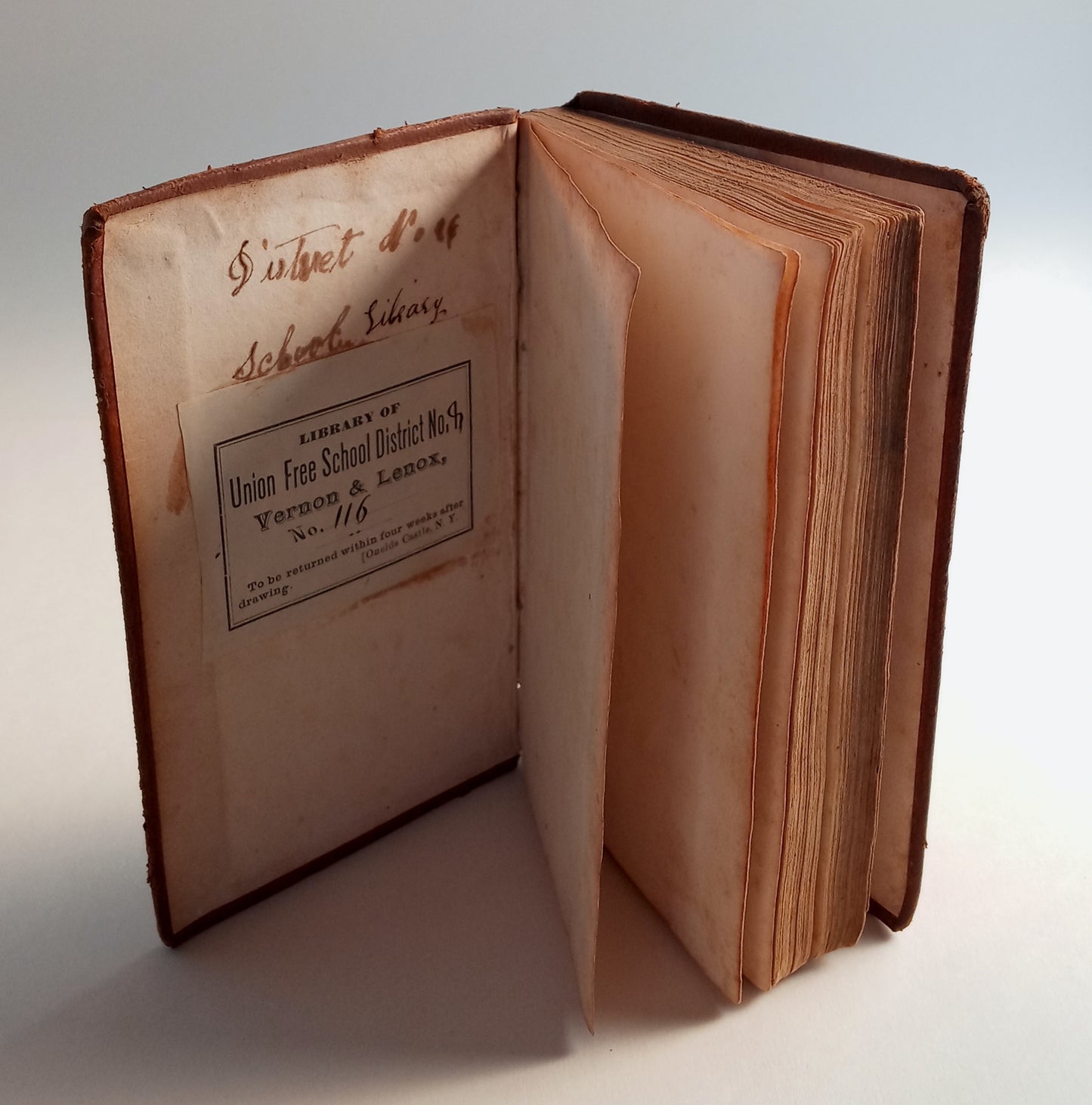 Early Friendships: A Tale book cover
