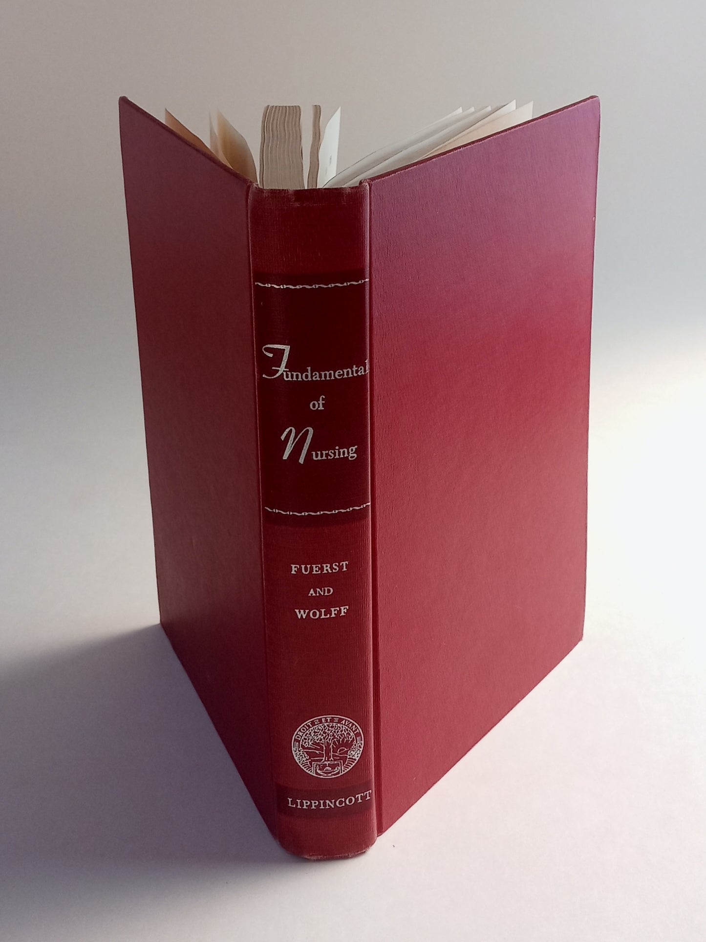 Fundamentals of Nursing: The Humanities and the Sciences in Nursing book cover