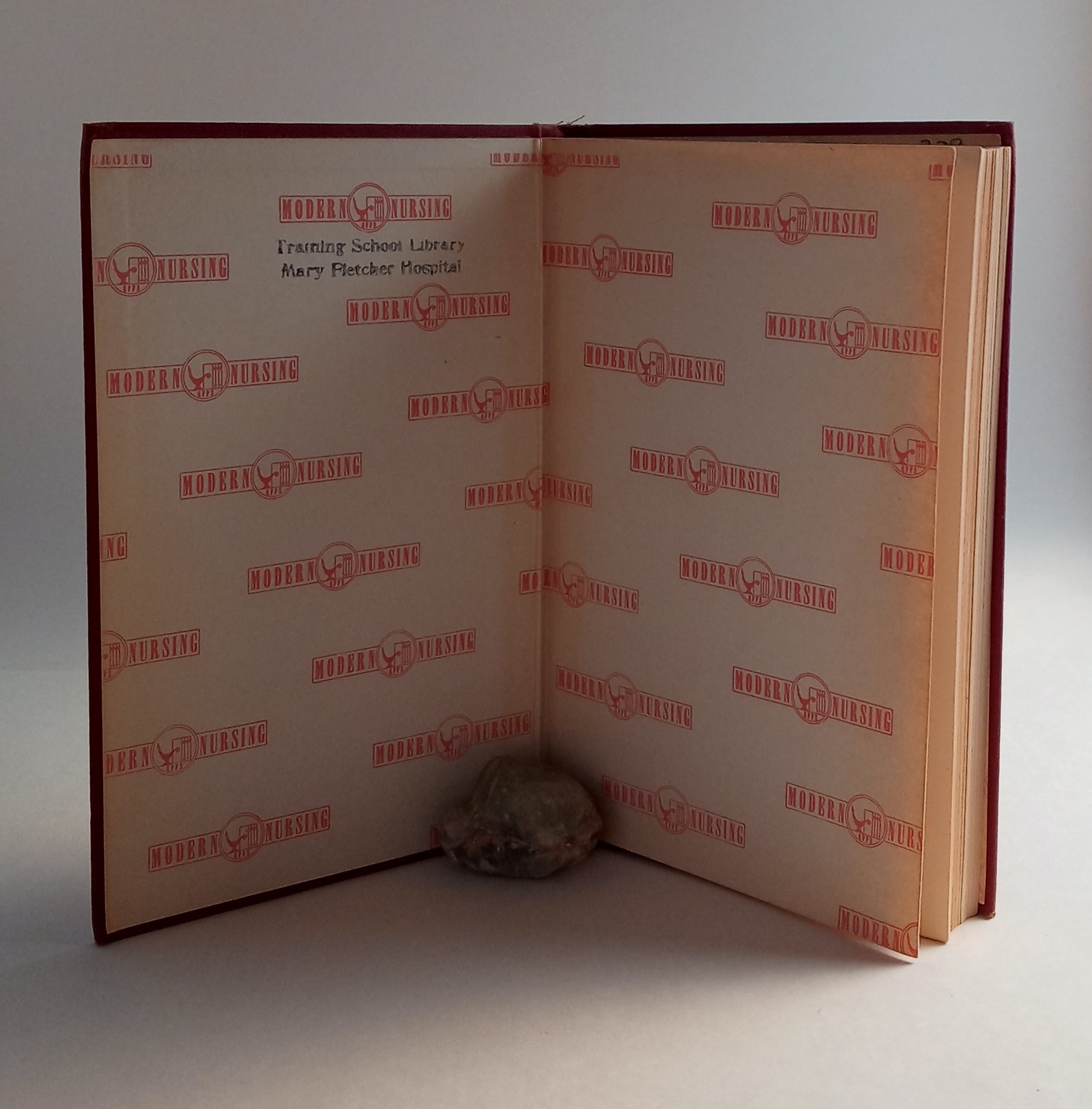Nursing in Modern Society book cover