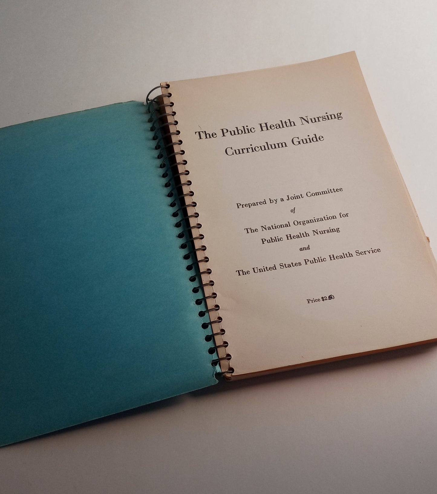 The Public Health Nursing Curriculum Guide book cover