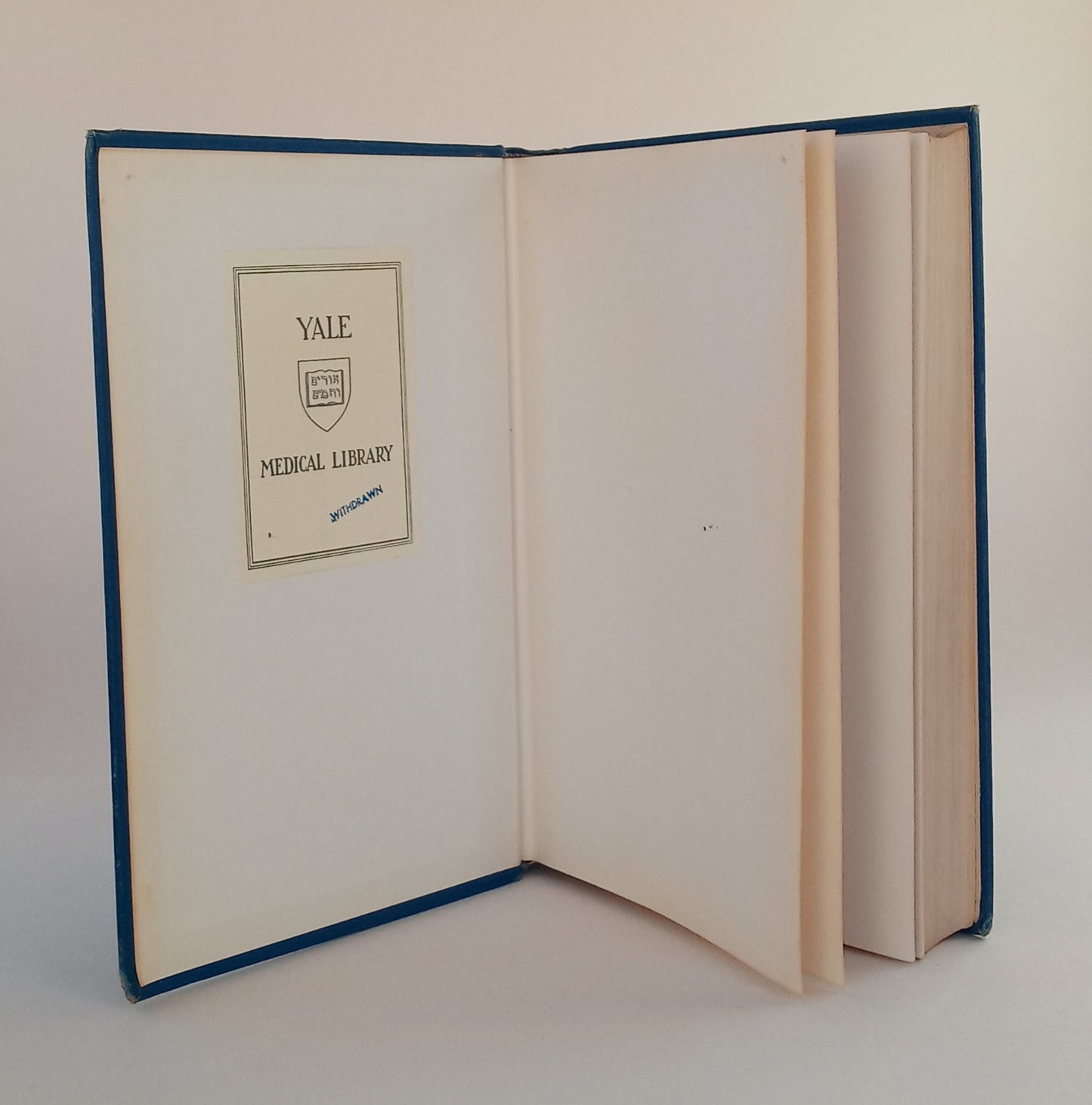 The Head Nurse book cover