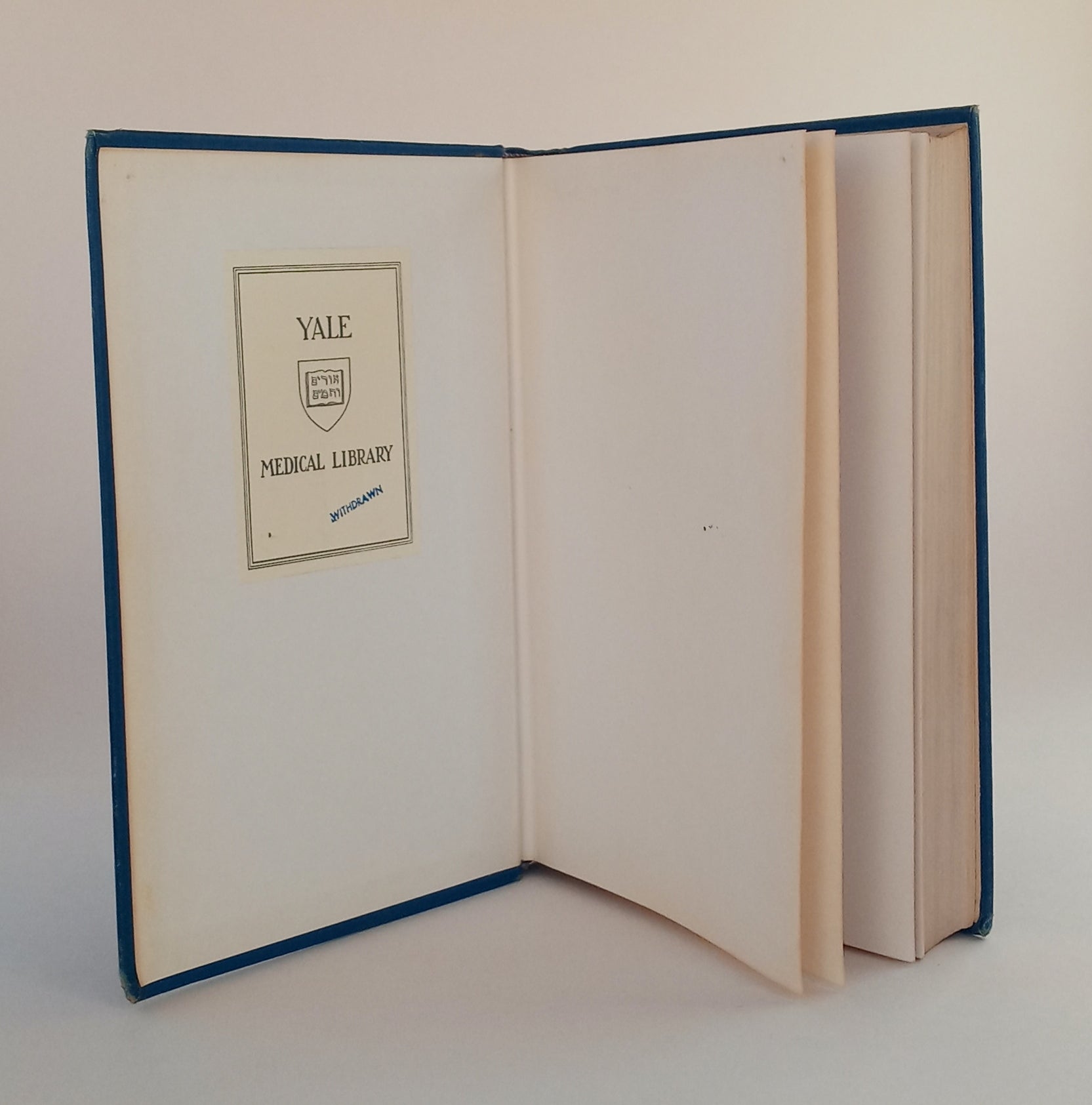 The Head Nurse book cover