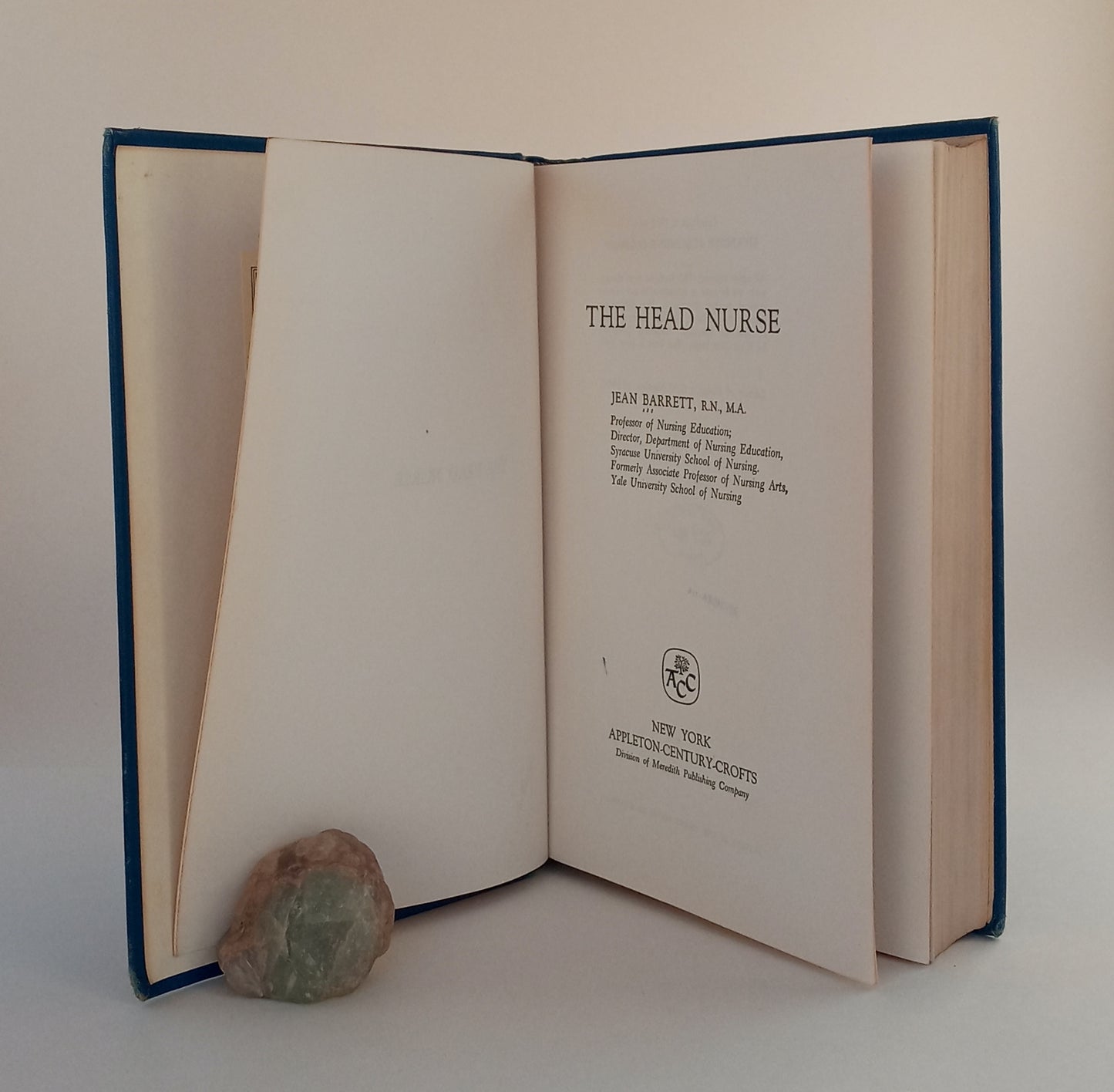 The Head Nurse book cover
