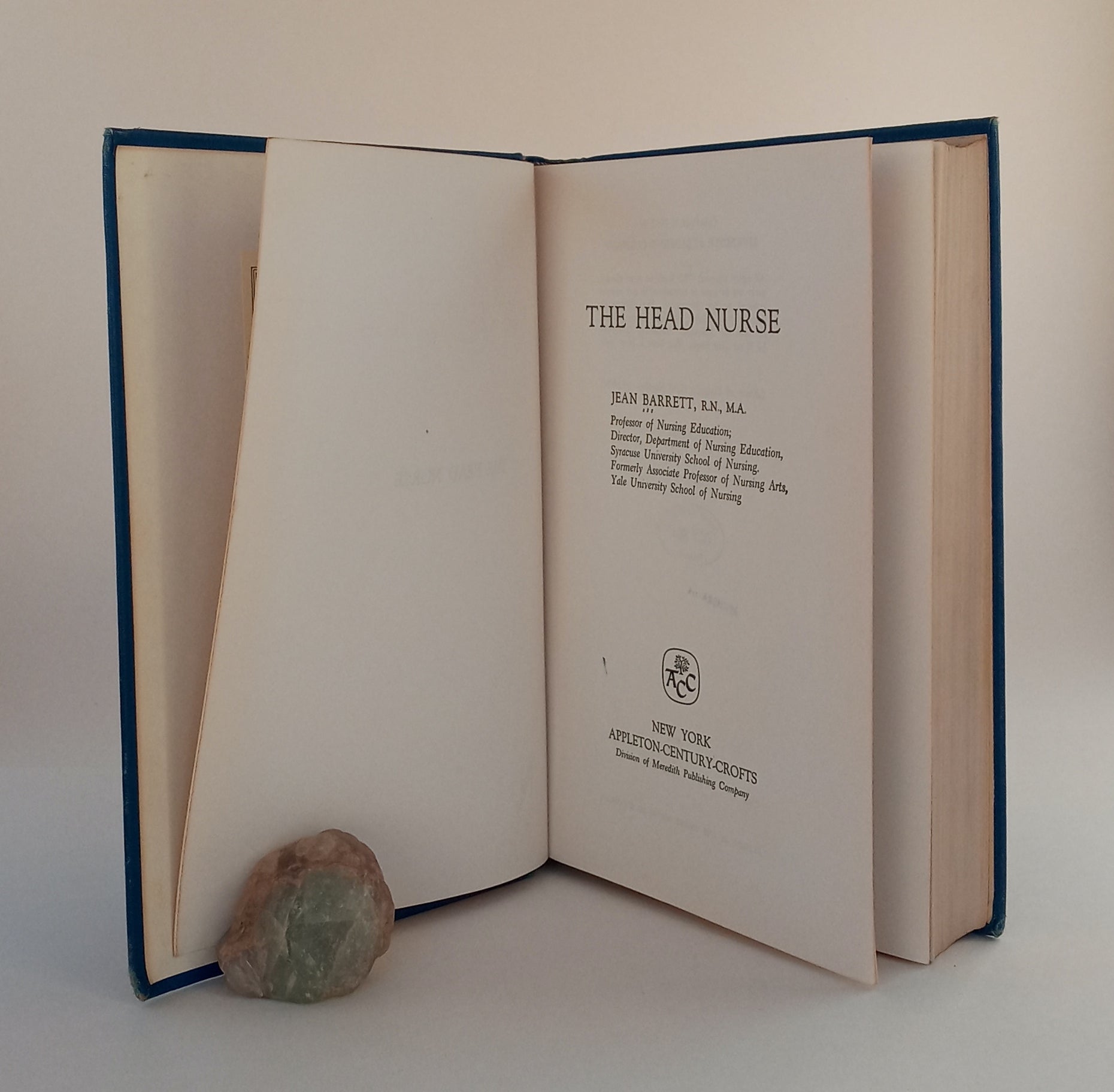 The Head Nurse book cover