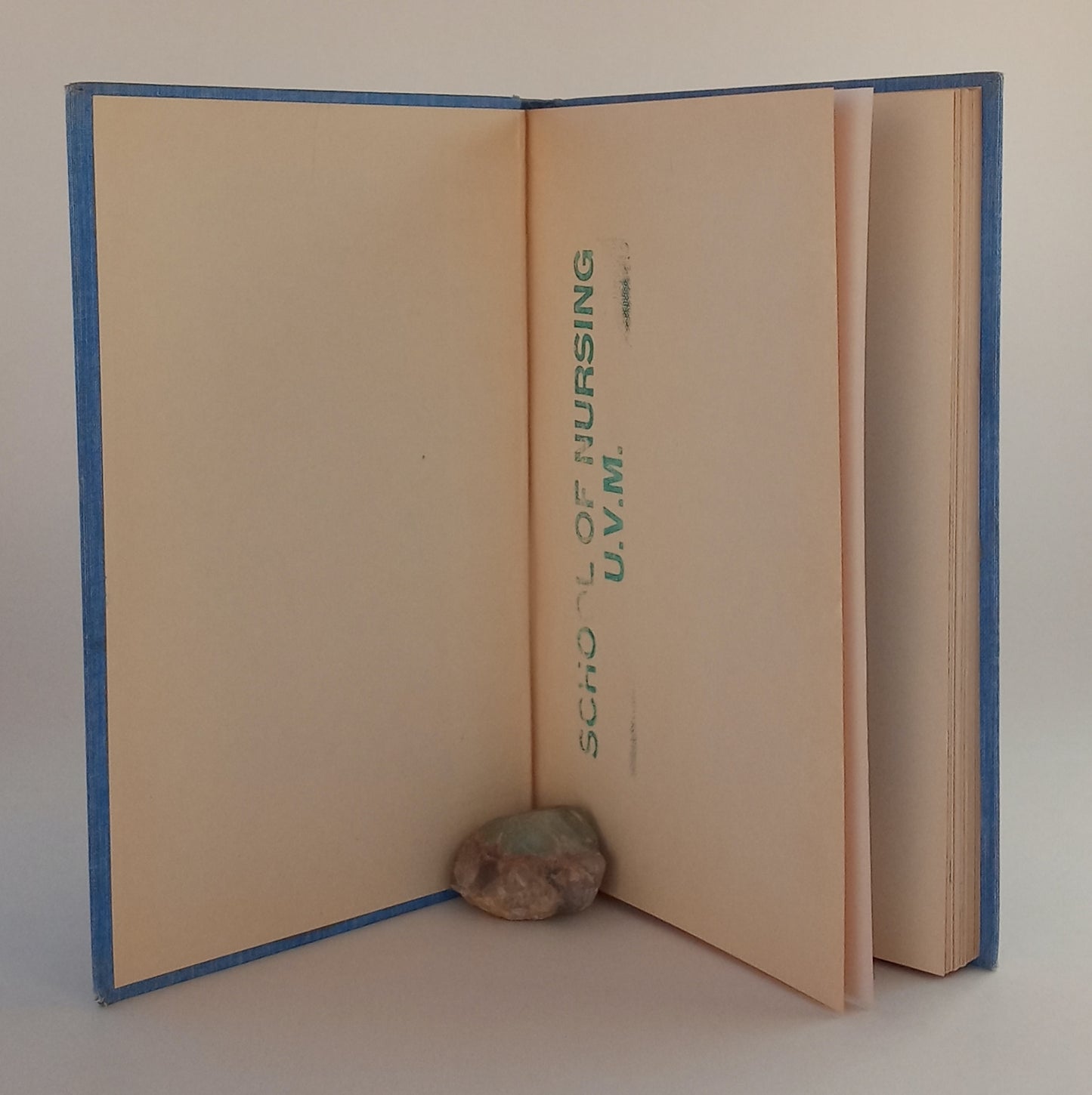 We Who Serve: A Story of Nursing In Vermont book cover
