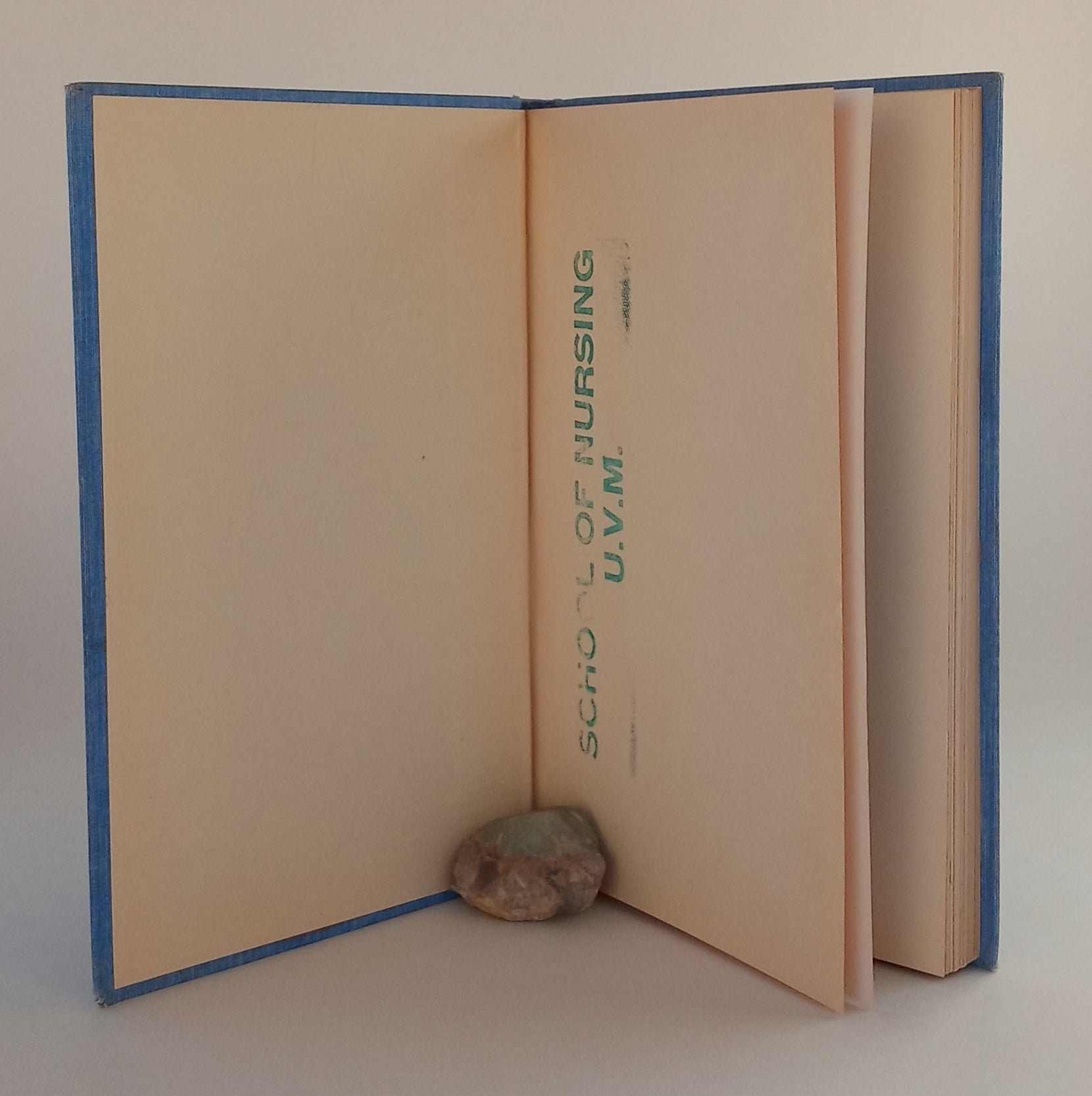 We Who Serve: A Story of Nursing In Vermont book cover