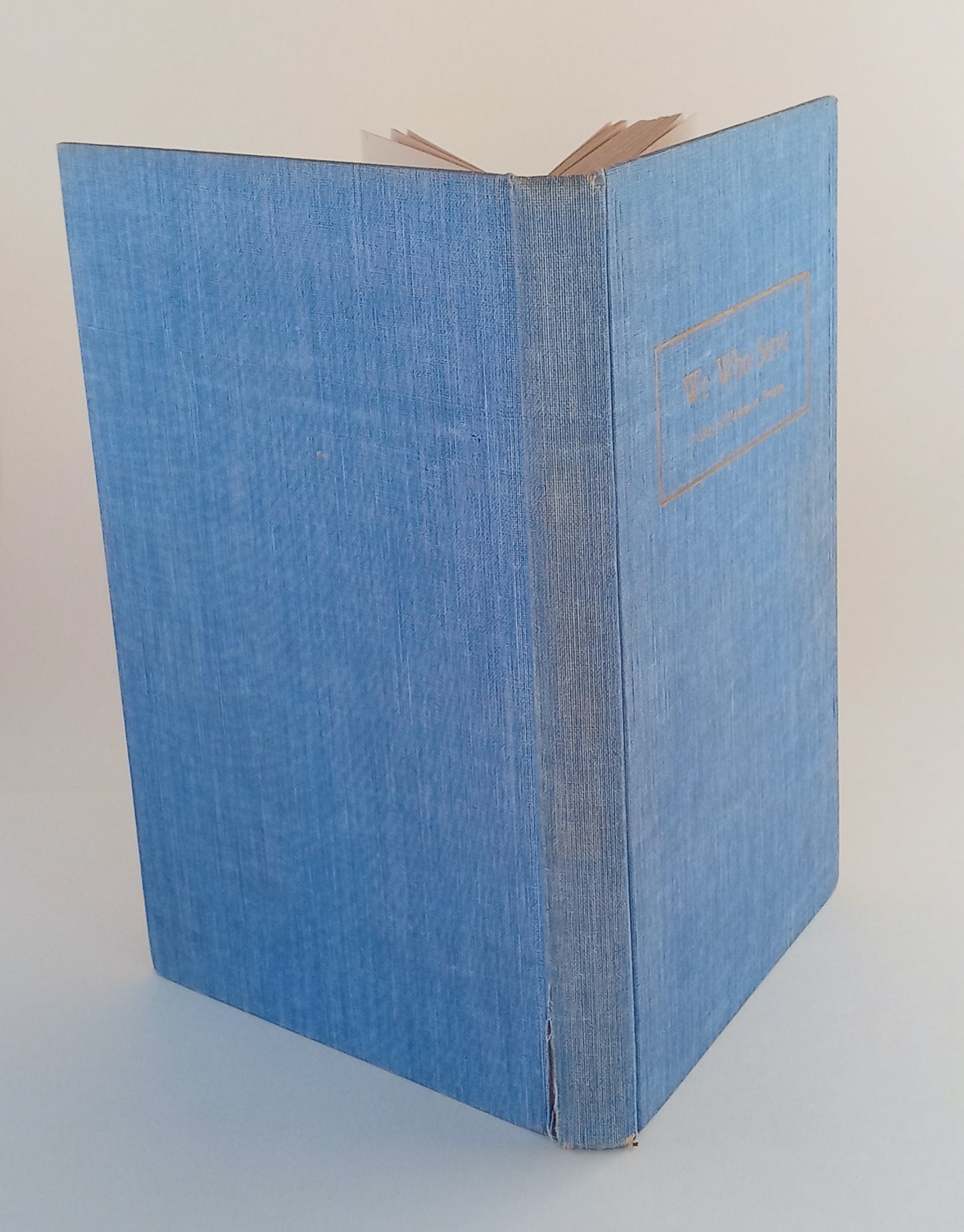 We Who Serve: A Story of Nursing In Vermont book cover