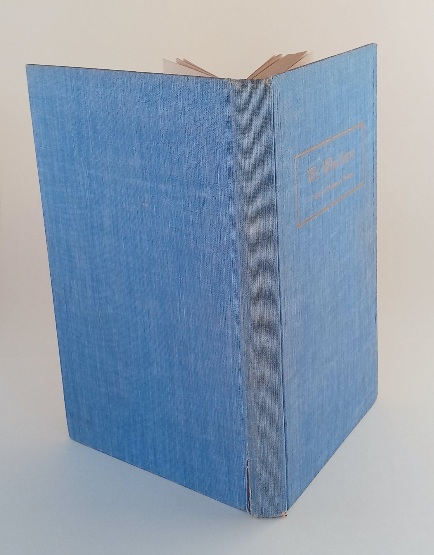 We Who Serve: A Story of Nursing In Vermont book cover