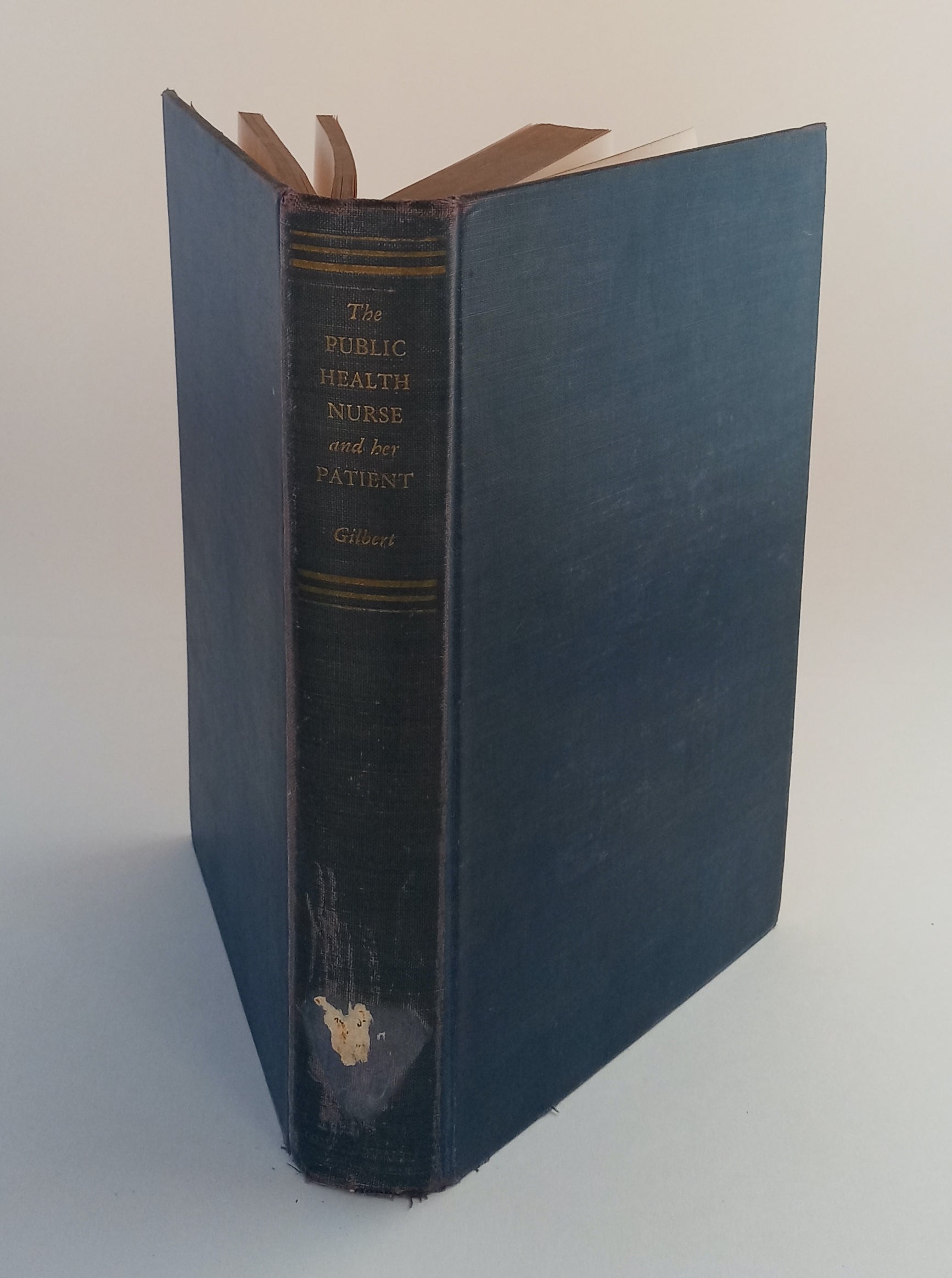 The Public Health Nurse and Her Patient book cover