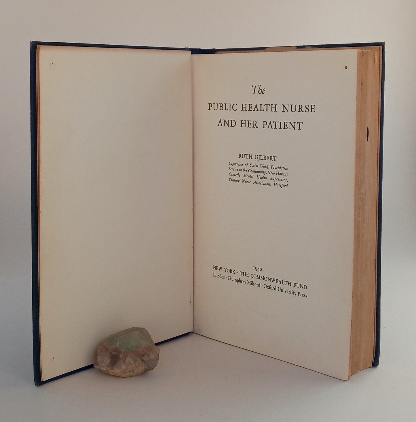 The Public Health Nurse and Her Patient book cover