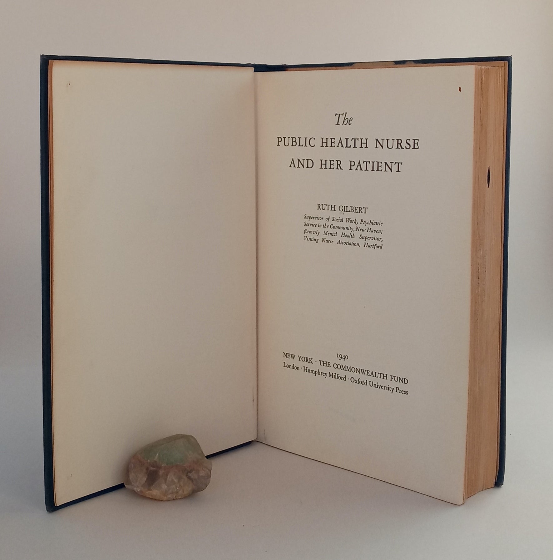 The Public Health Nurse and Her Patient book cover