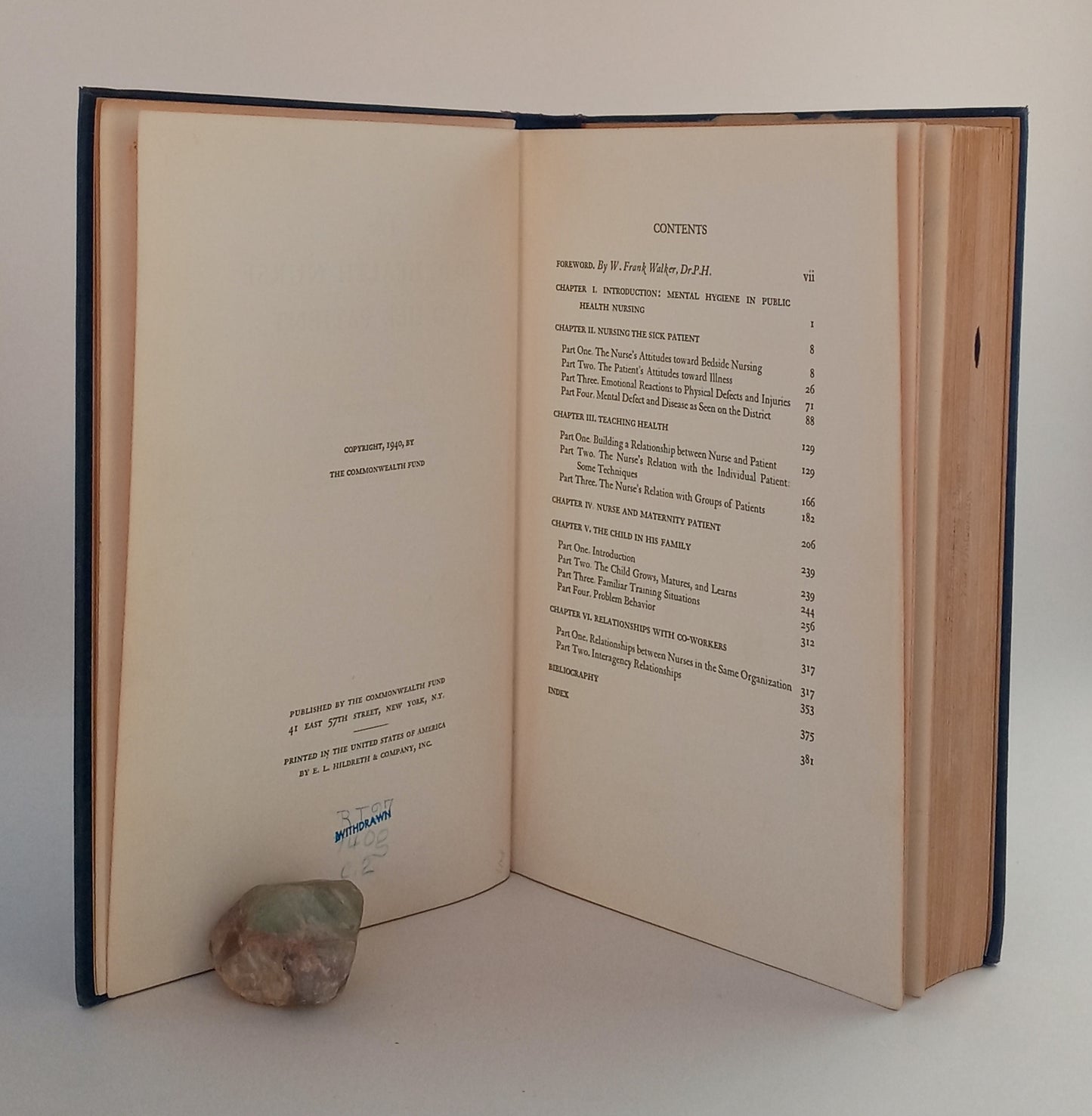 The Public Health Nurse and Her Patient book cover