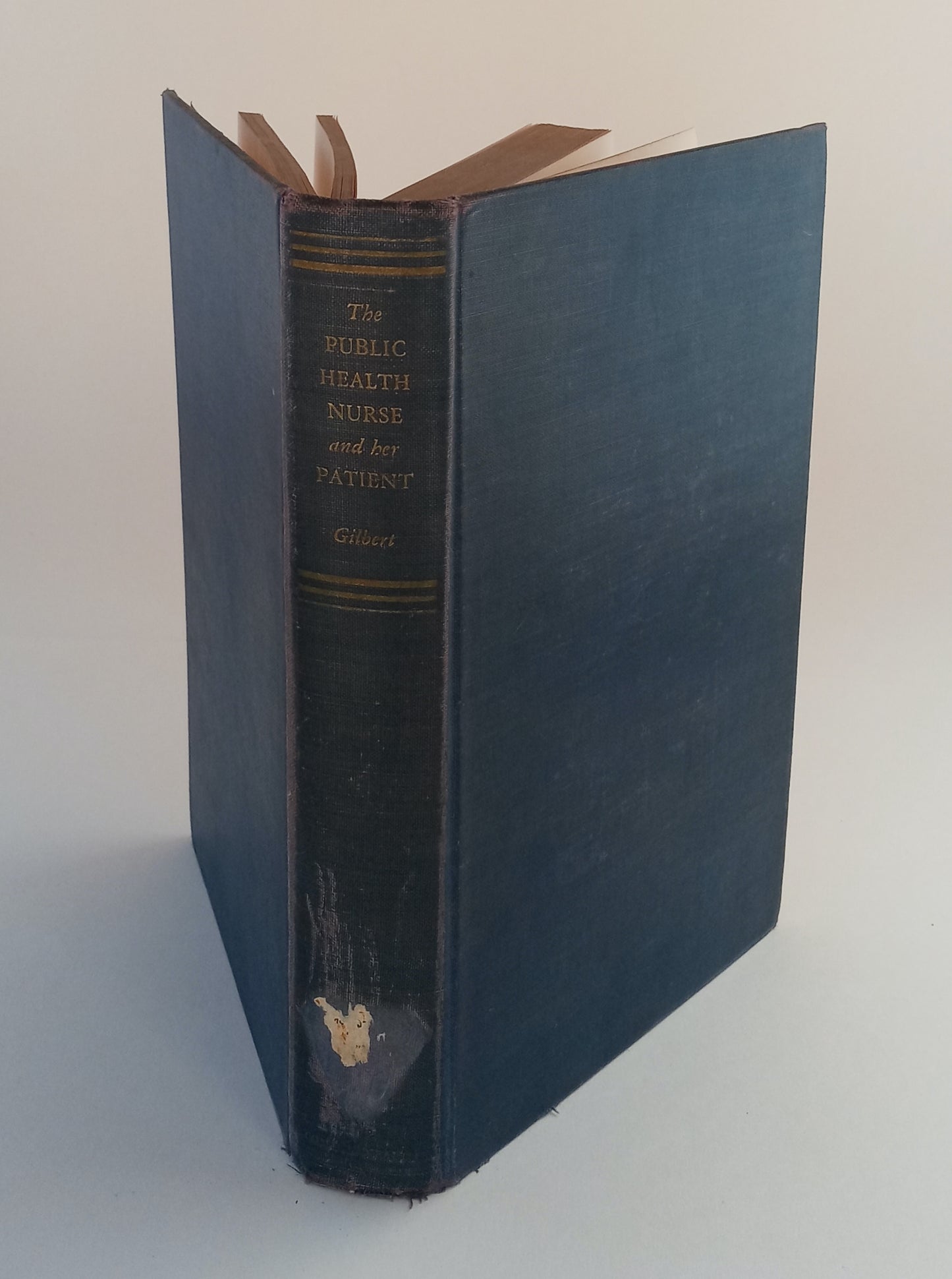 The Public Health Nurse and Her Patient book cover