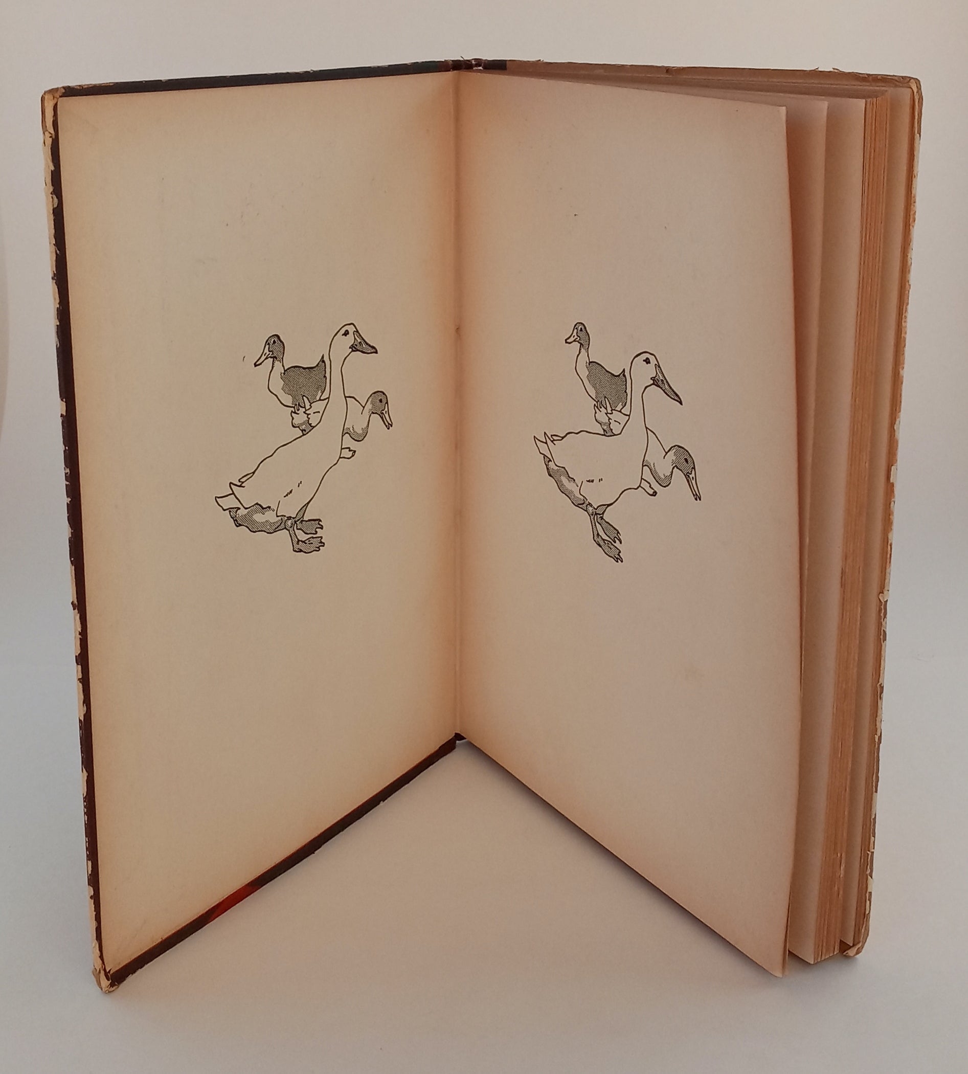 Dick Whittington and his Cat book cover