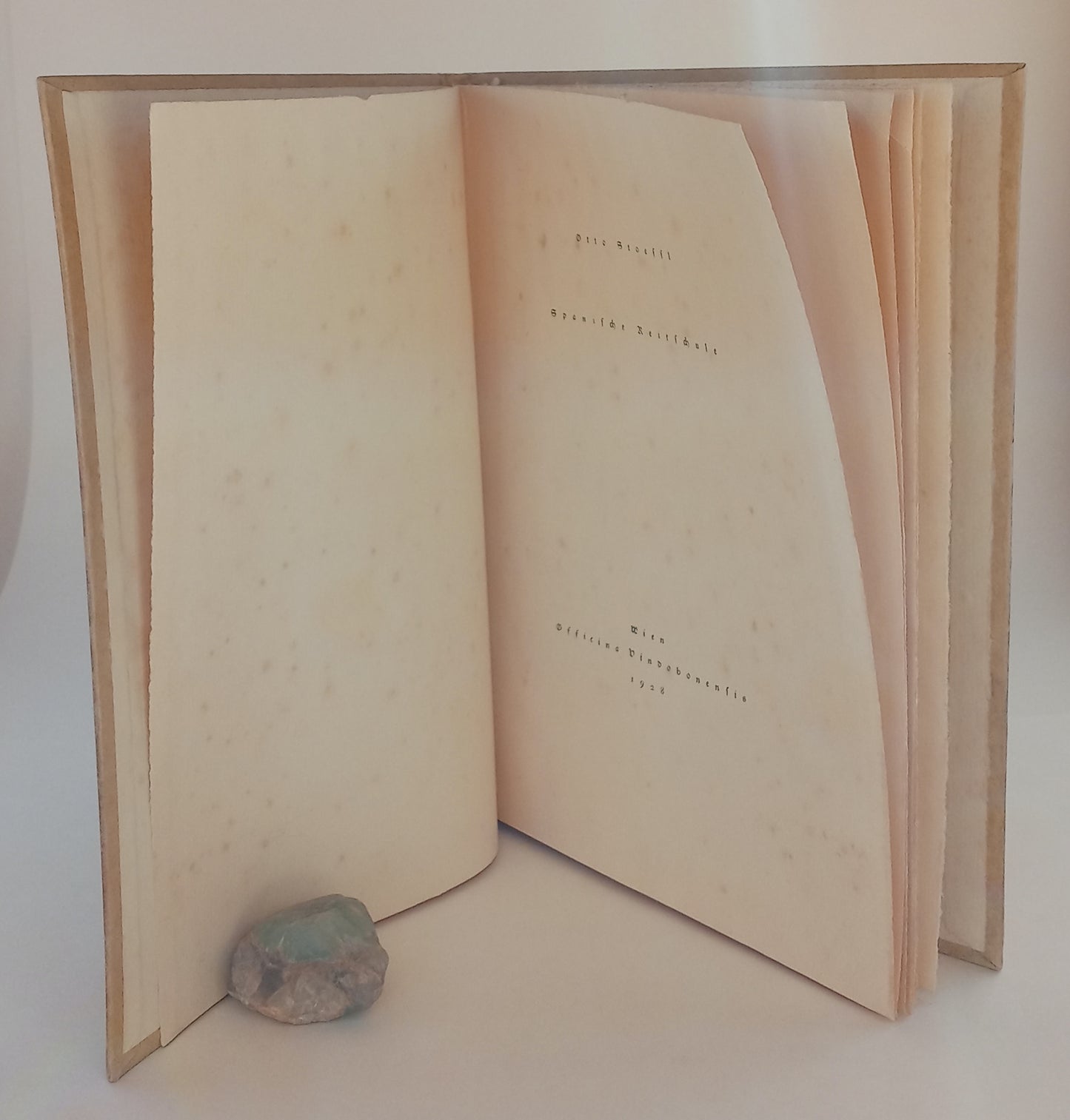Spansiche Reitschule (Spanish Riding School) book cover
