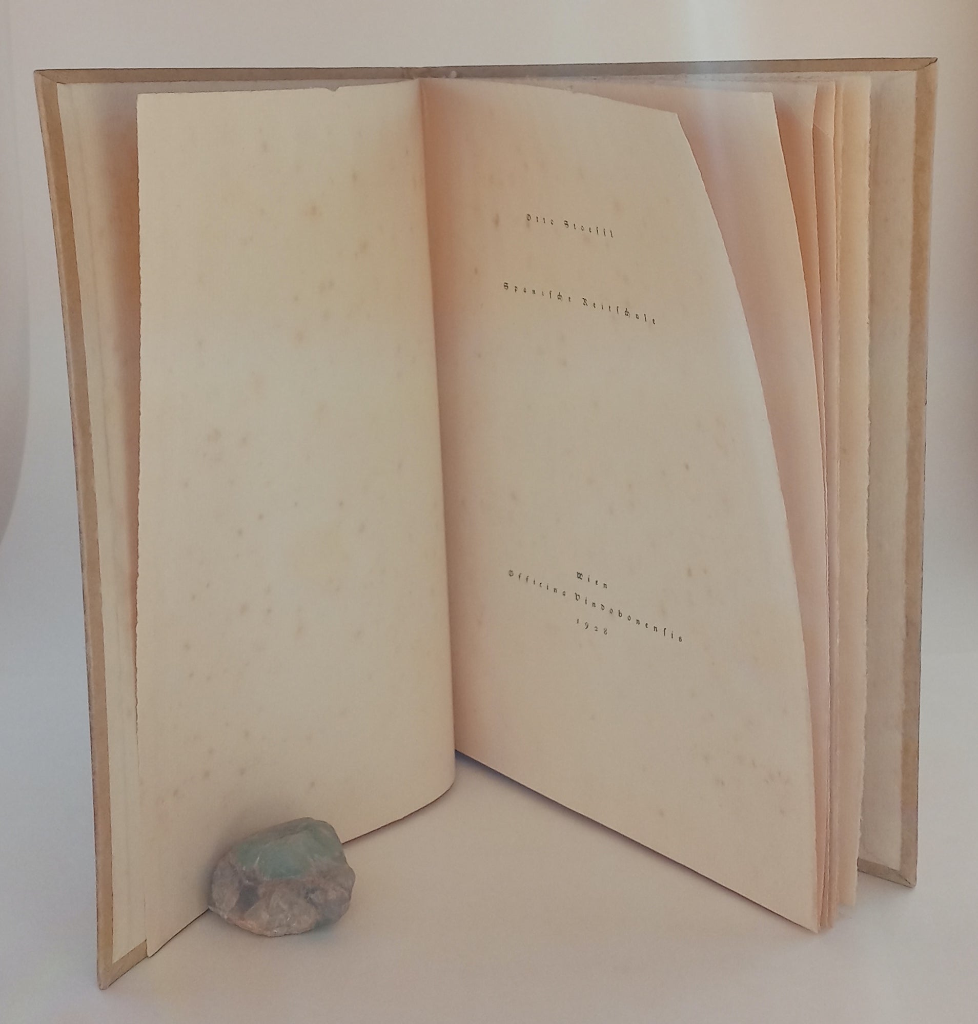 Spansiche Reitschule (Spanish Riding School) book cover