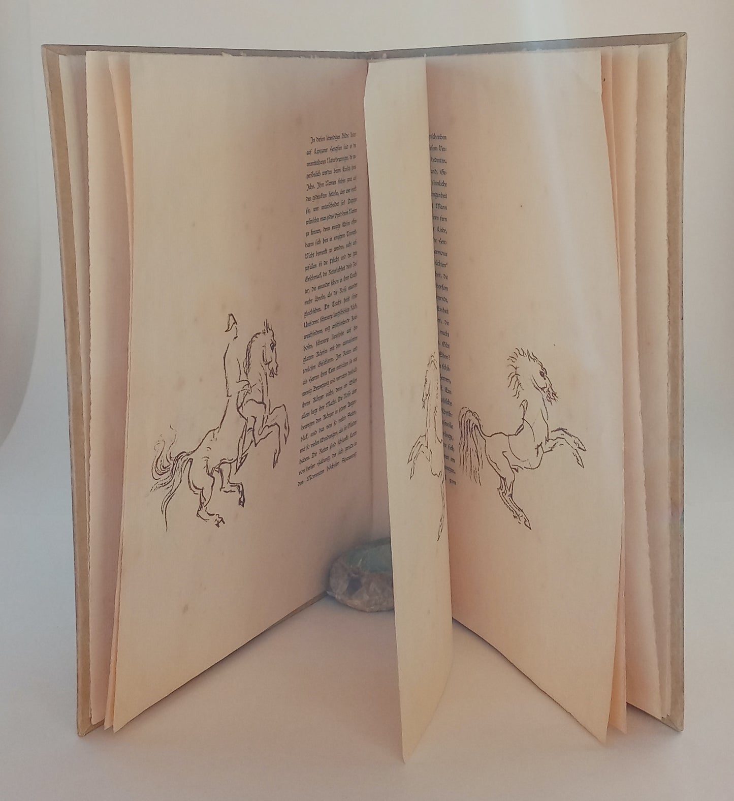 Spansiche Reitschule (Spanish Riding School) book cover