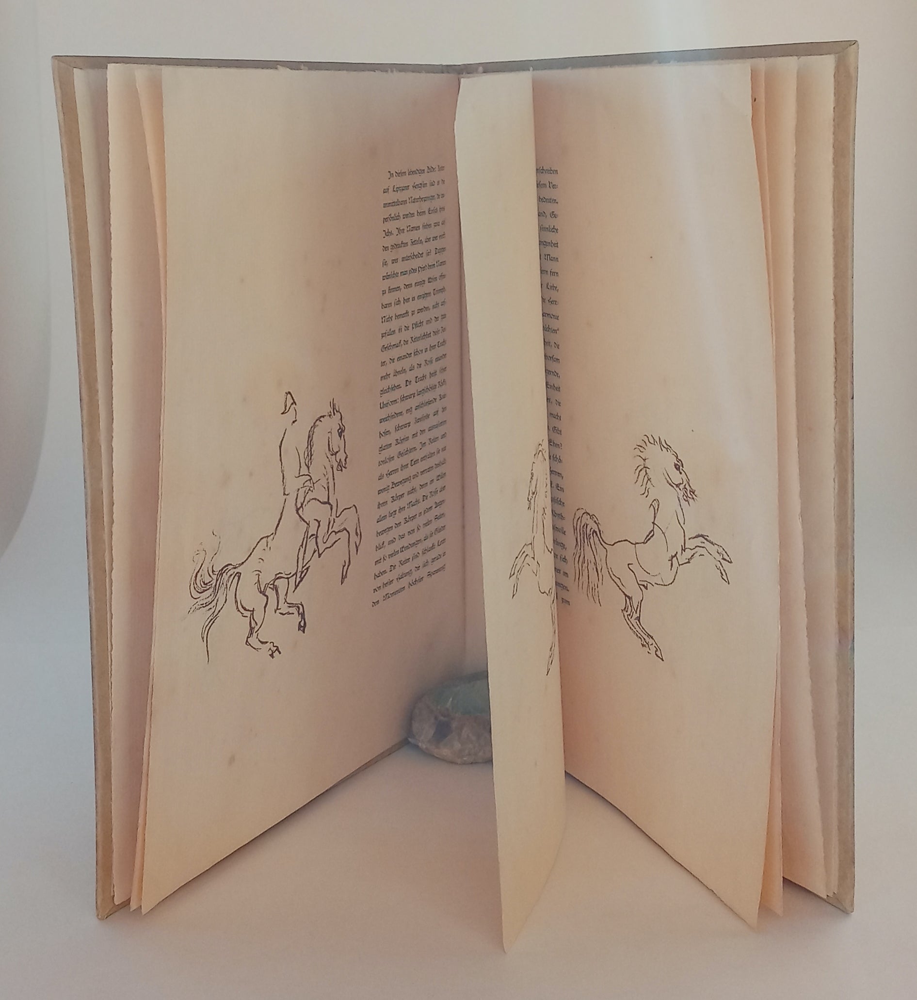 Spansiche Reitschule (Spanish Riding School) book cover