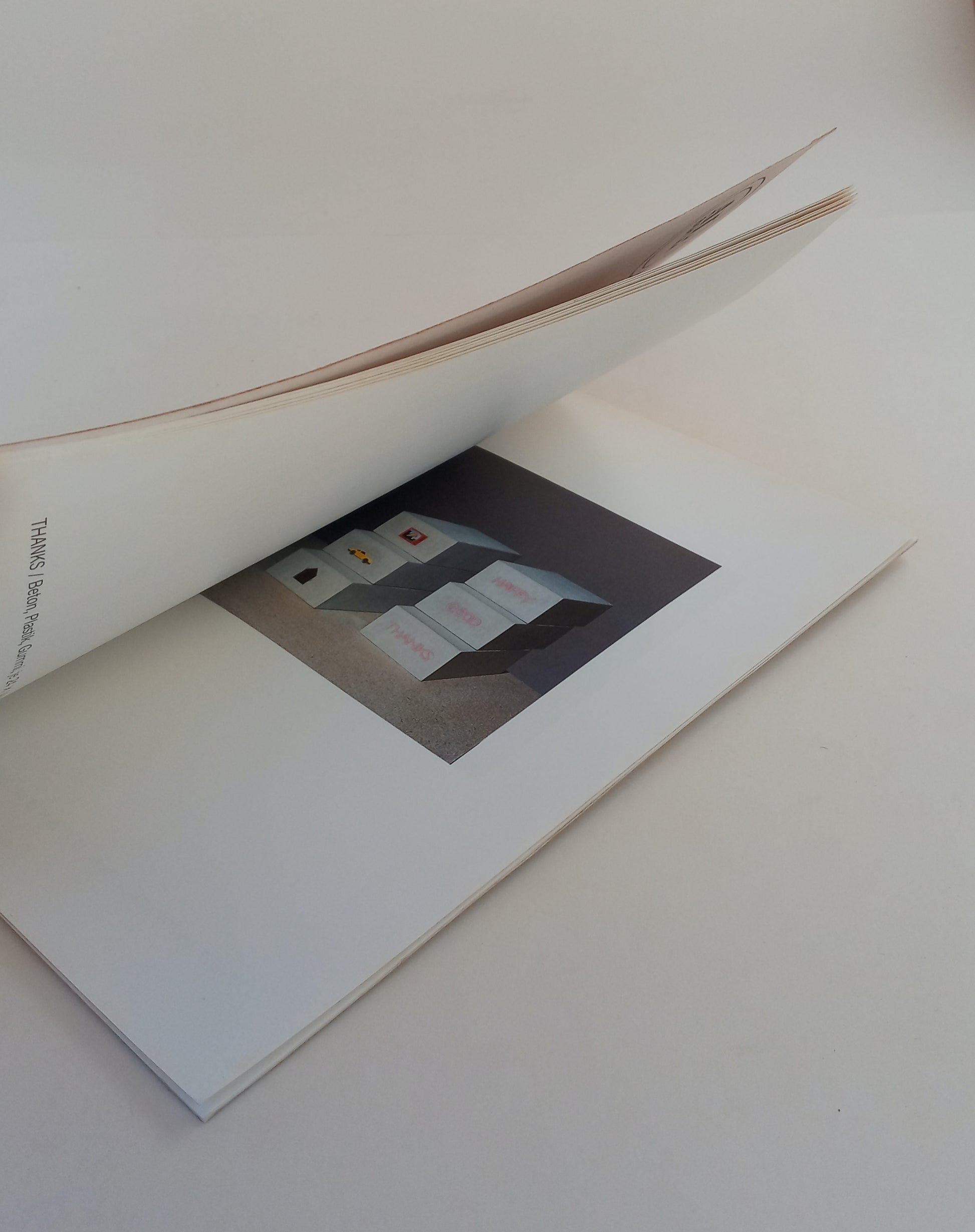Pratauer (Christine Susanna Prantauer) book cover