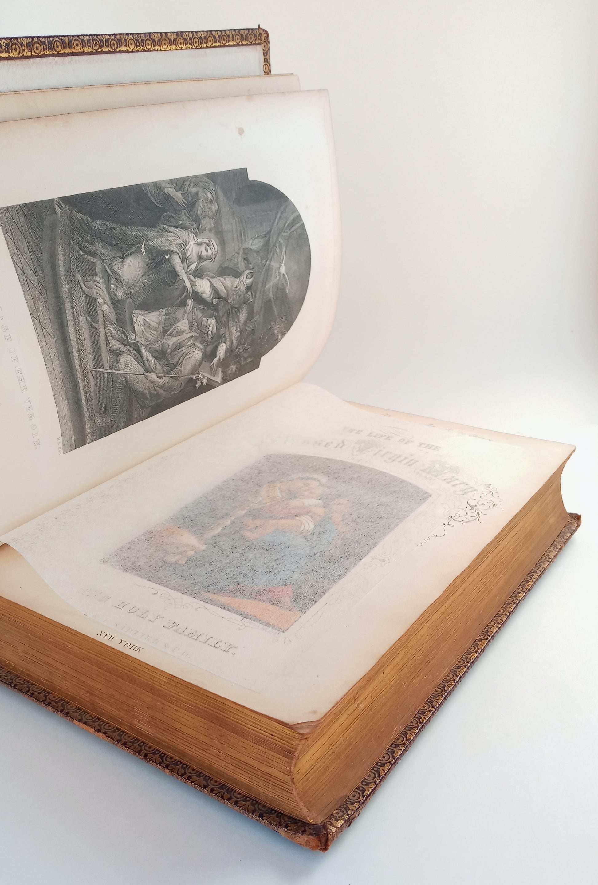 The Life of the Blessed Virgin Mary. Mother of God; with the History of the Devotion to Her; and Meditations on the Litany of the Blessed Virgin; The Admirable Life of the Glorious Patriarch Saint Joseph to Which Is Added the Lives of Saint Joachim and Sa