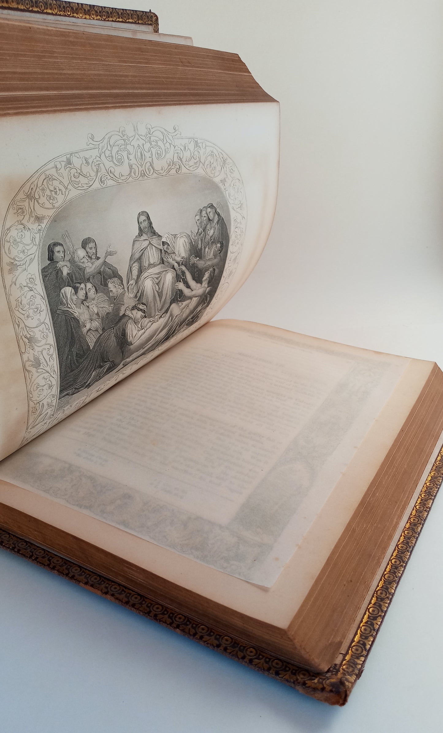 The Life of the Blessed Virgin Mary. Mother of God; with the History of the Devotion to Her; and Meditations on the Litany of the Blessed Virgin; The Admirable Life of the Glorious Patriarch Saint Joseph to Which Is Added the Lives of Saint Joachim and Sa