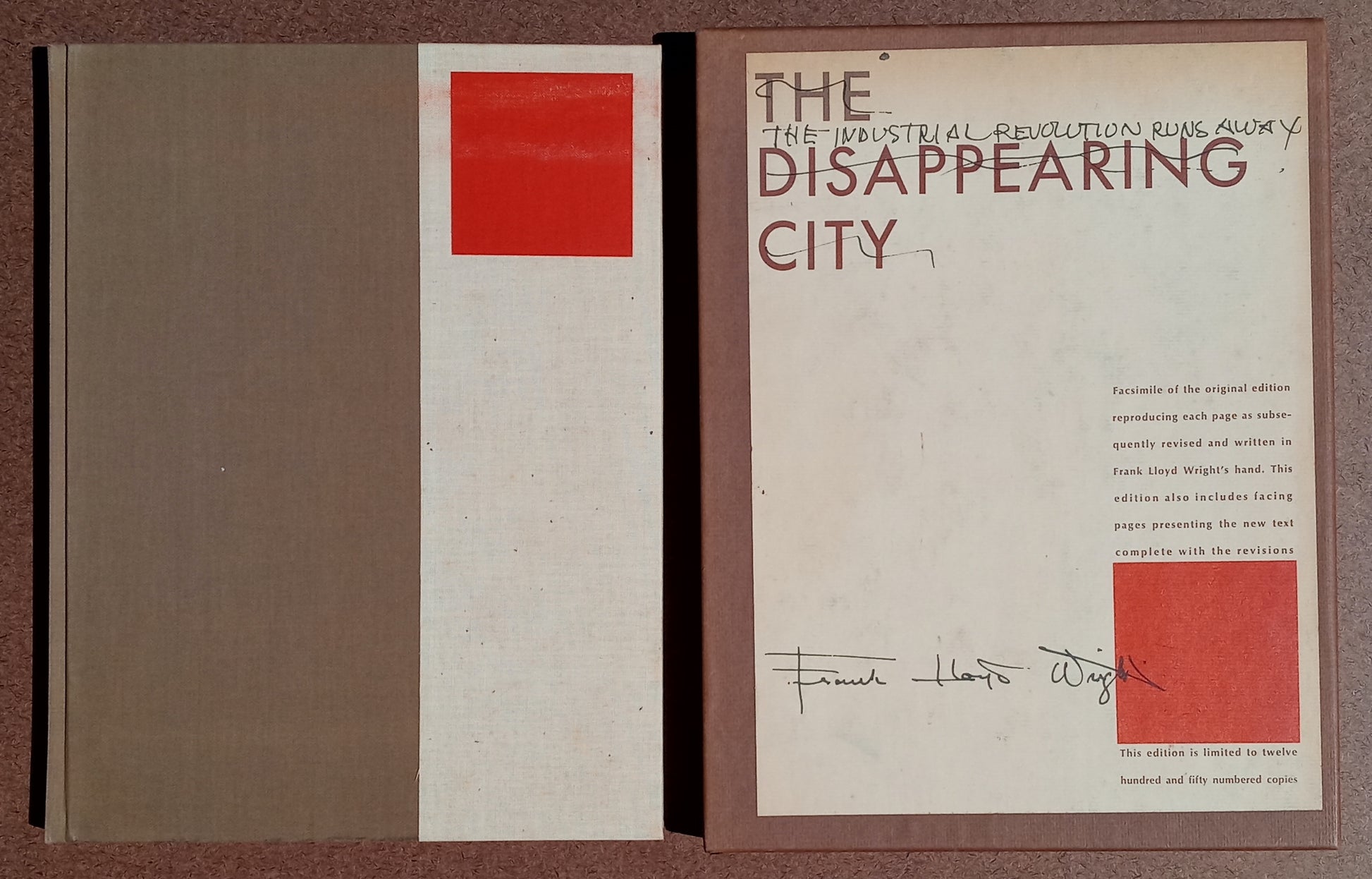 The Industrial Revolution Runs Away (The Disappearing City) book cover