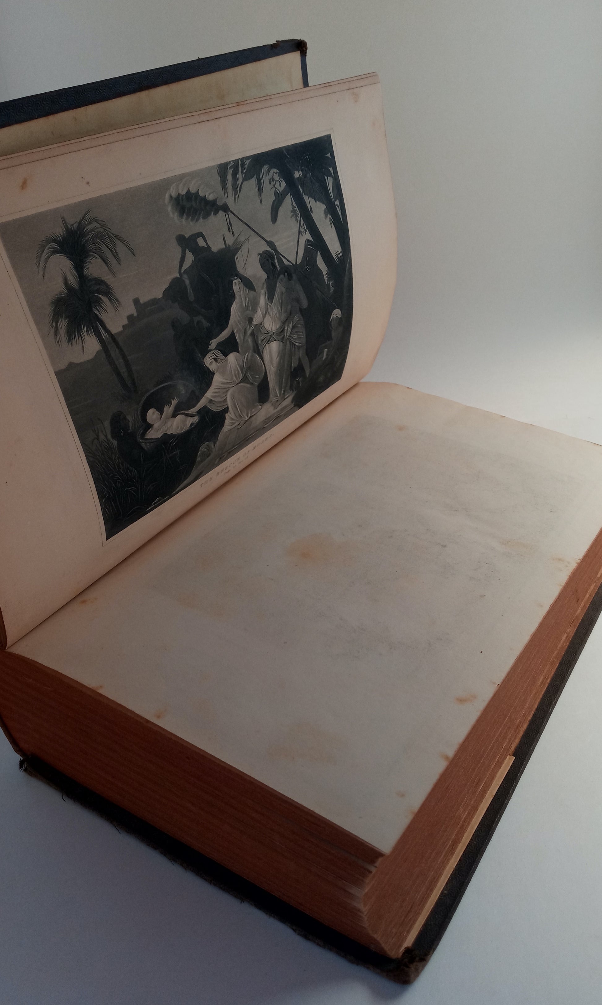 The Complete Analysis of the Holy Bible: How to Comprehend Holy Writ from its Own Interpretation, Containing the Whole of the Old and New Testaments, Collected and Systematically Arranged in Thirty Books book cover