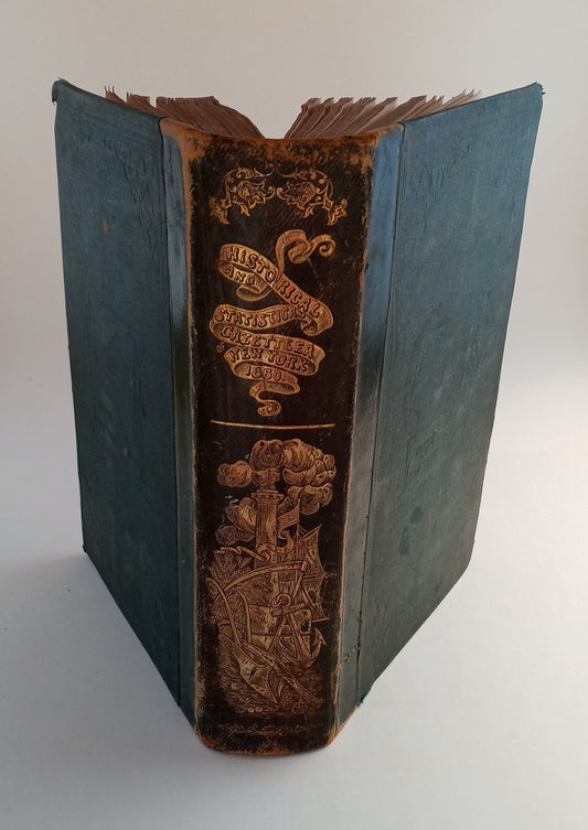 Gazetteer of the State of New York: Embracing a Comprehensive View of the Geography, Geology, and General History of the State, and a Complete History and Description of Every County, Town, Village, and Locality. With full tables of statistics. book cover