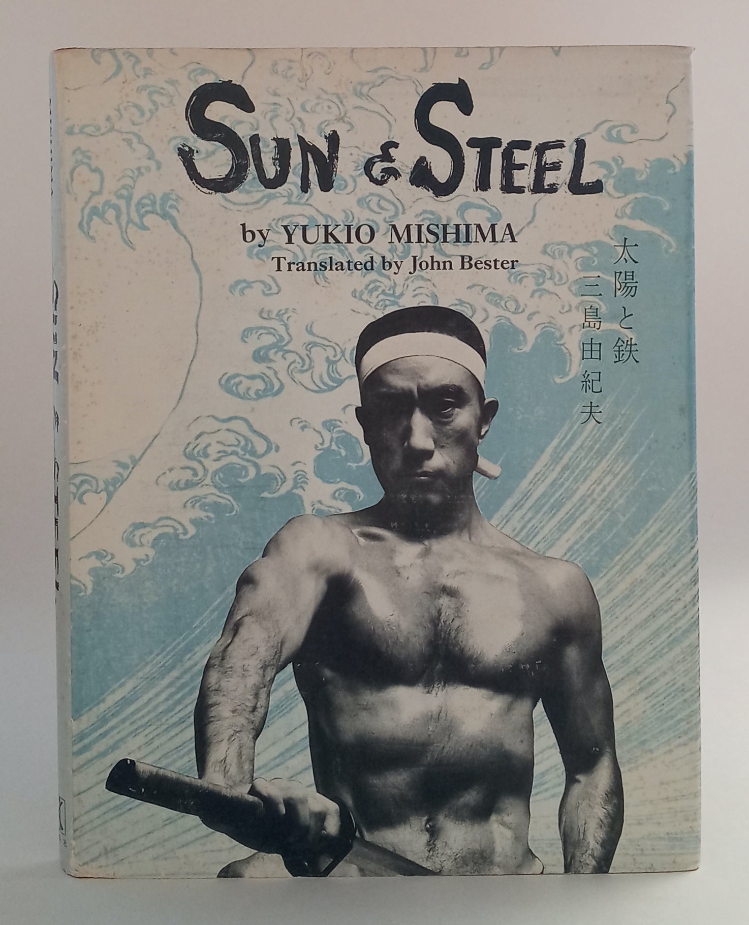 Sun & Steel book cover