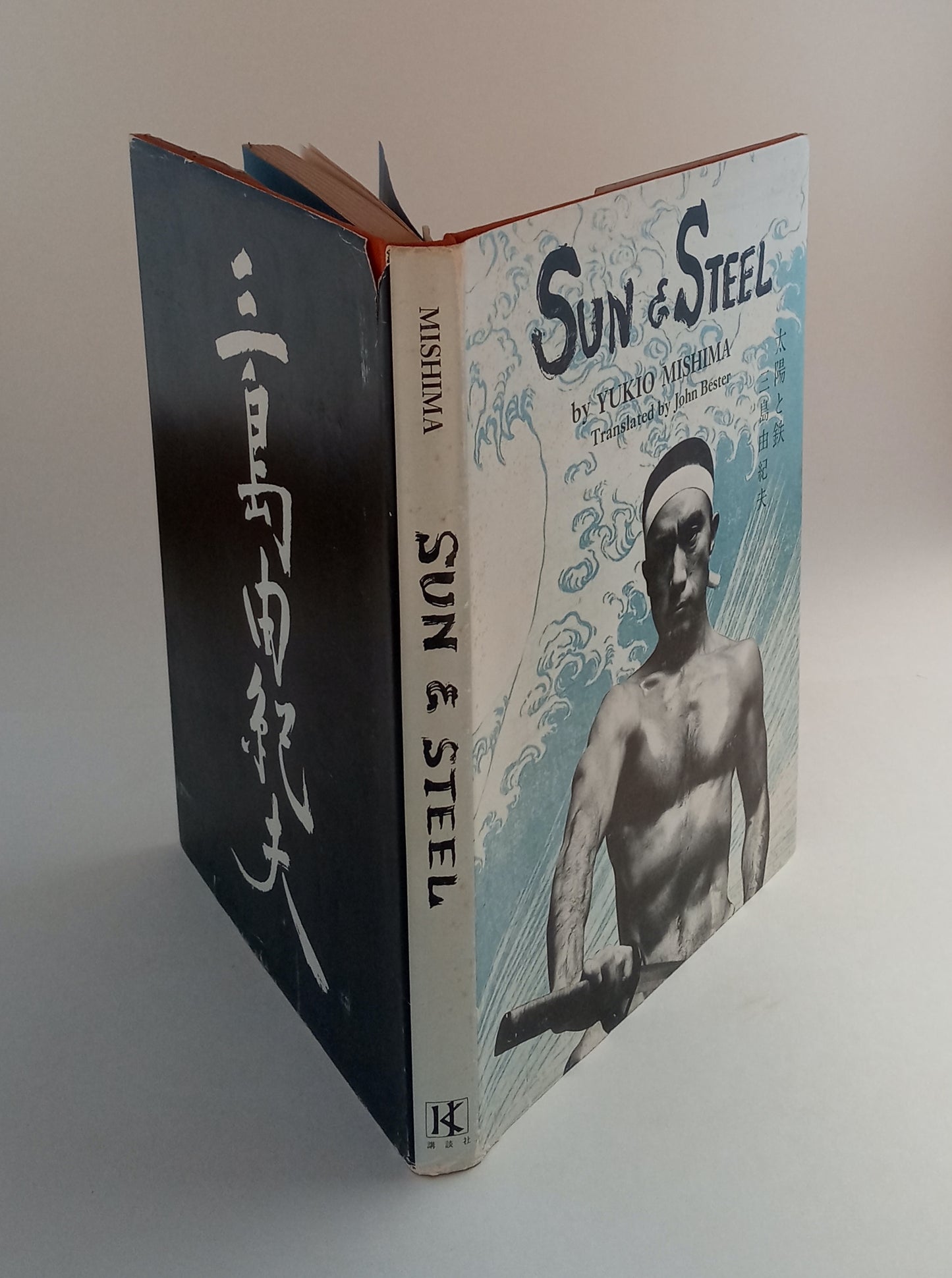 Sun & Steel book cover