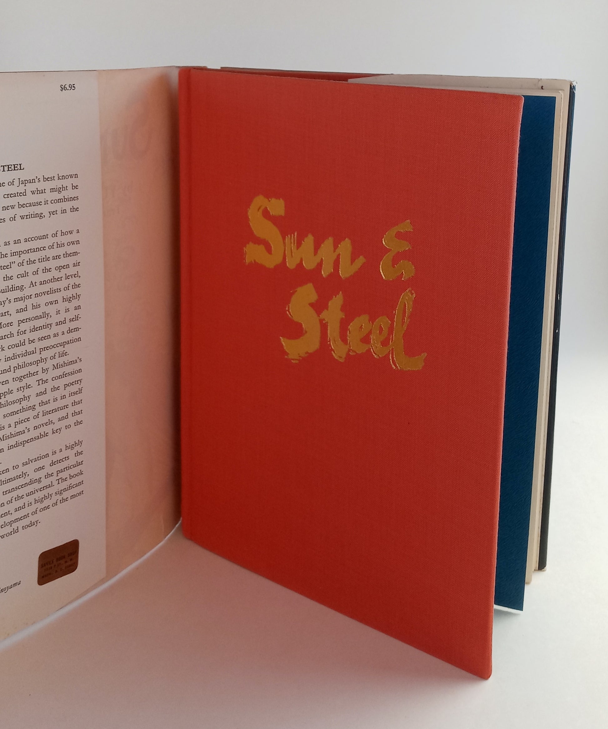 Sun & Steel book cover