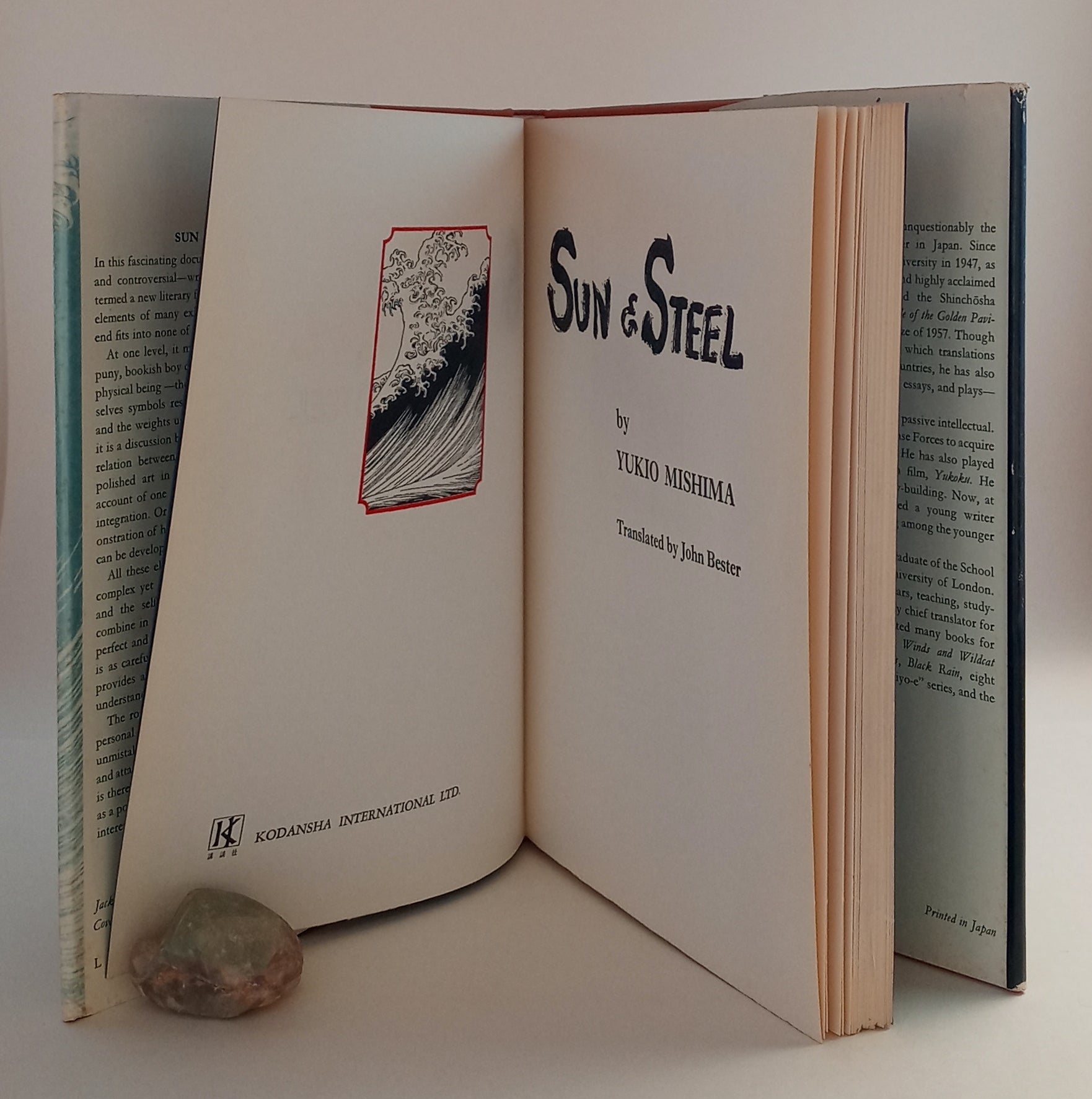 Sun & Steel book cover