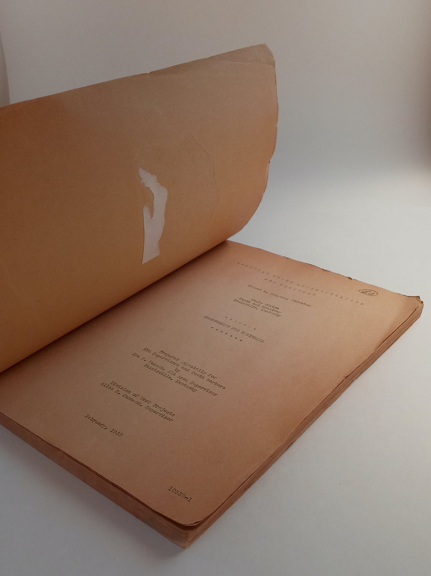 Woodworking for Beginners book cover