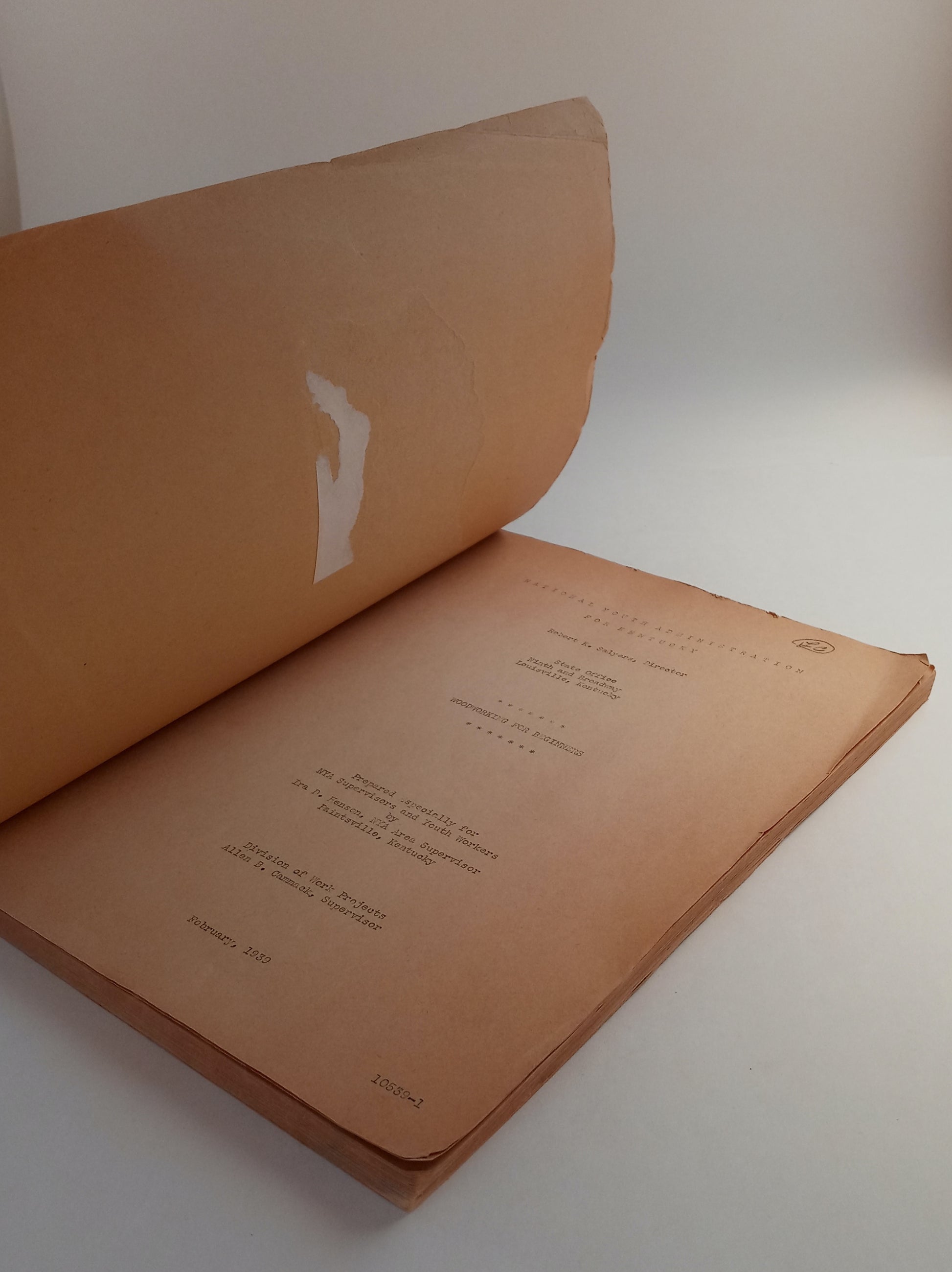 Woodworking for Beginners book cover