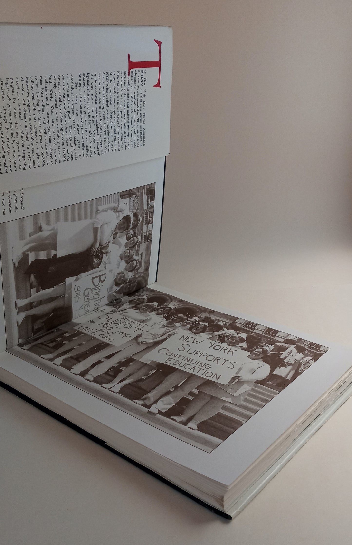 Honoring Our Past, Building Our Future: A History of the New York State Nurses Association book cover