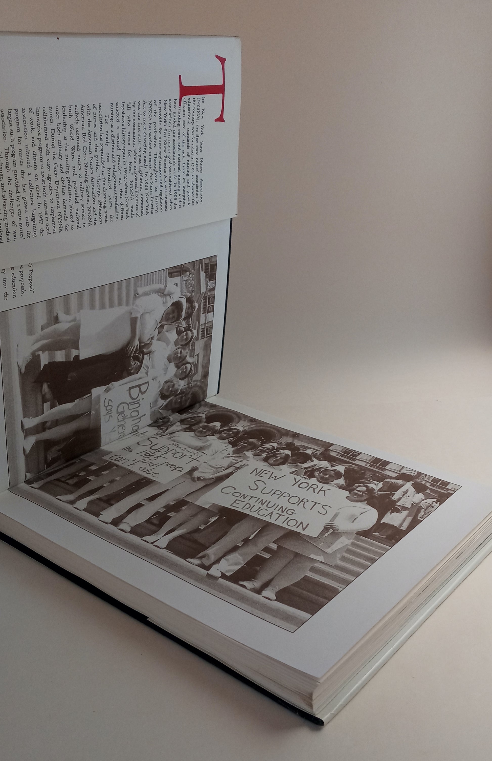 Honoring Our Past, Building Our Future: A History of the New York State Nurses Association book cover