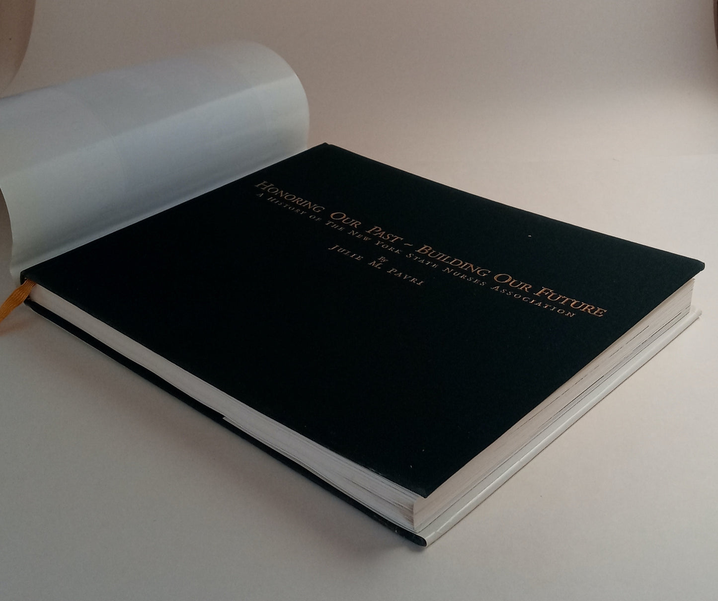 Honoring Our Past, Building Our Future: A History of the New York State Nurses Association book cover