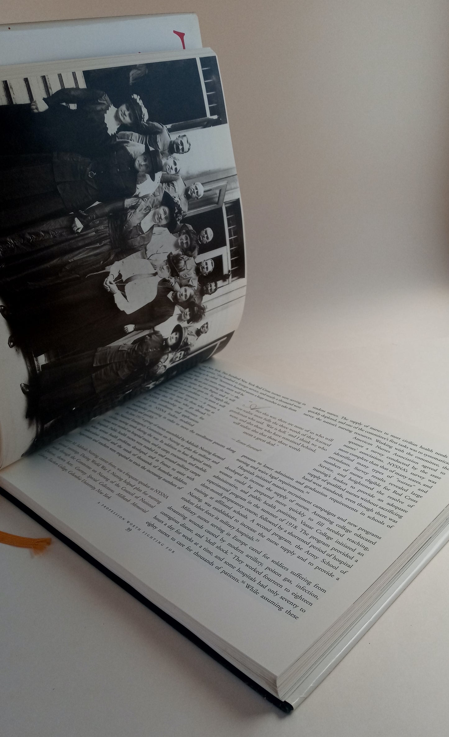 Honoring Our Past, Building Our Future: A History of the New York State Nurses Association book cover