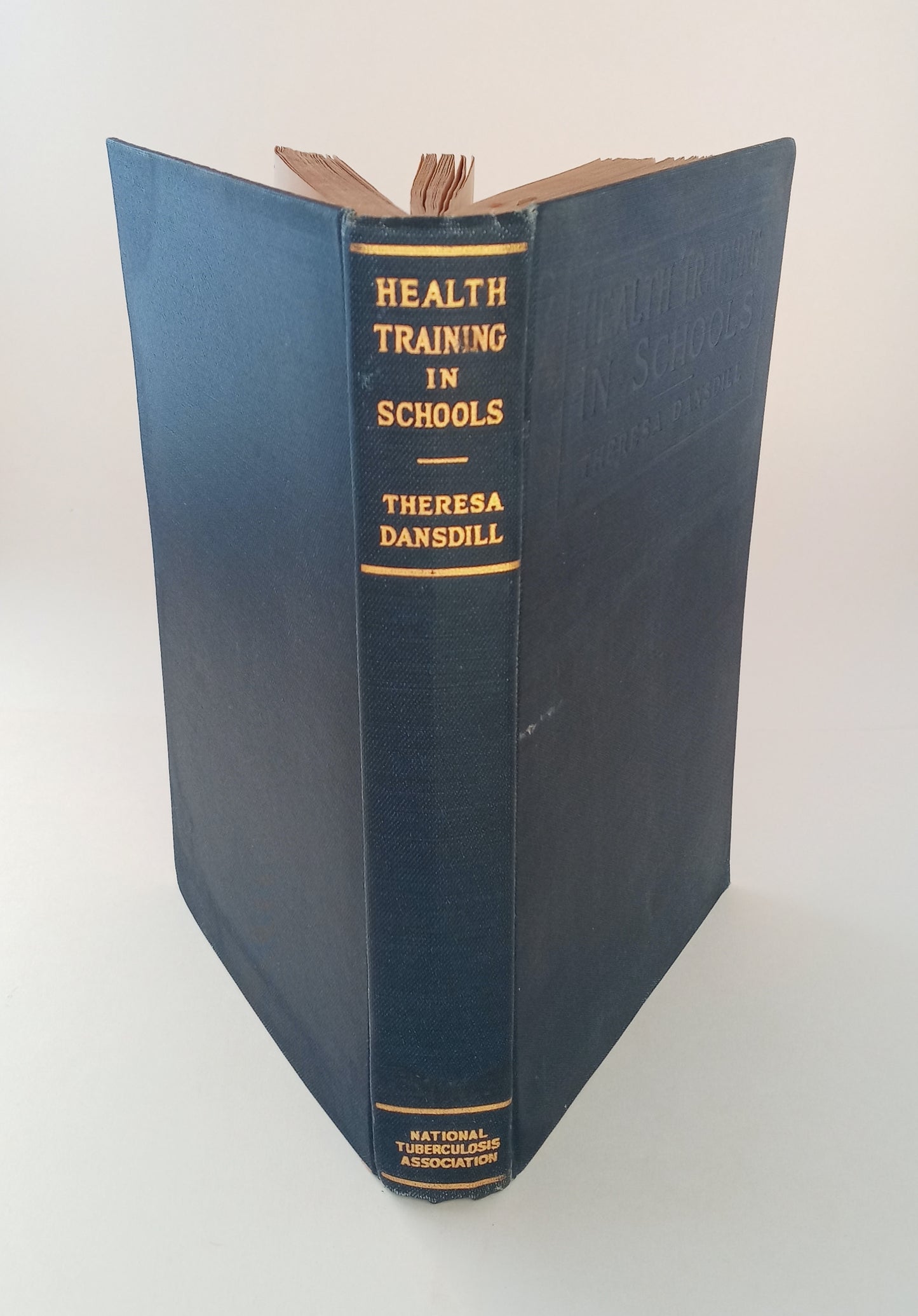 Health Training in Schools: A Handbook for Teachers and Health Workers book cover