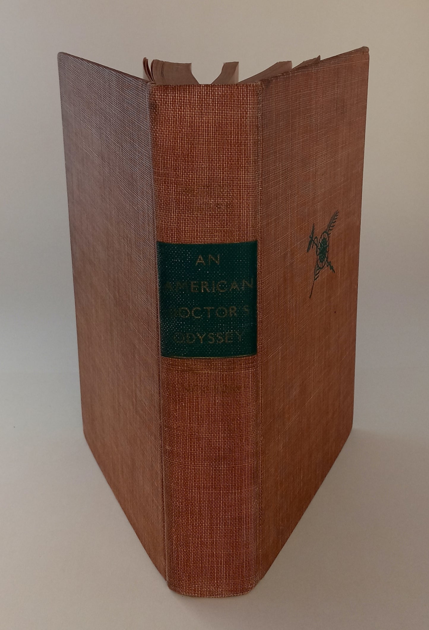 An American Doctor's Odyssey: Adventures in Forty-five Countries book cover