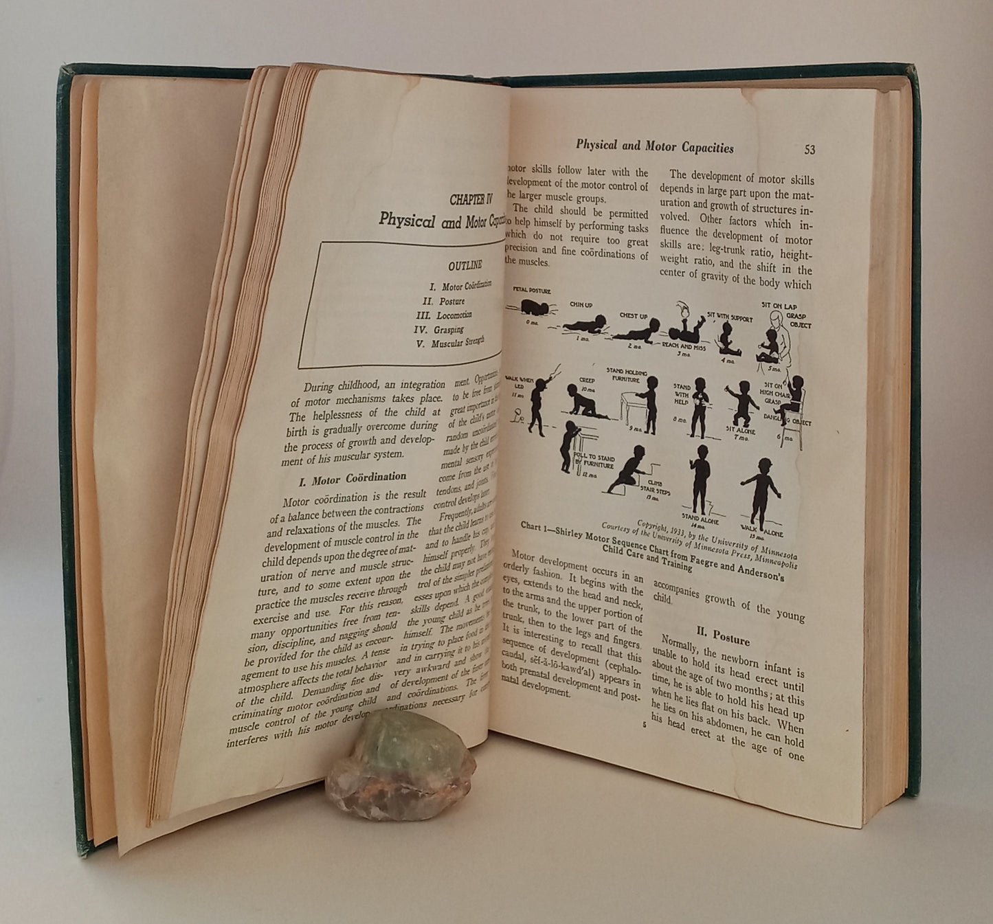 Principles of Pediatrics and Pediatric Nursing book cover